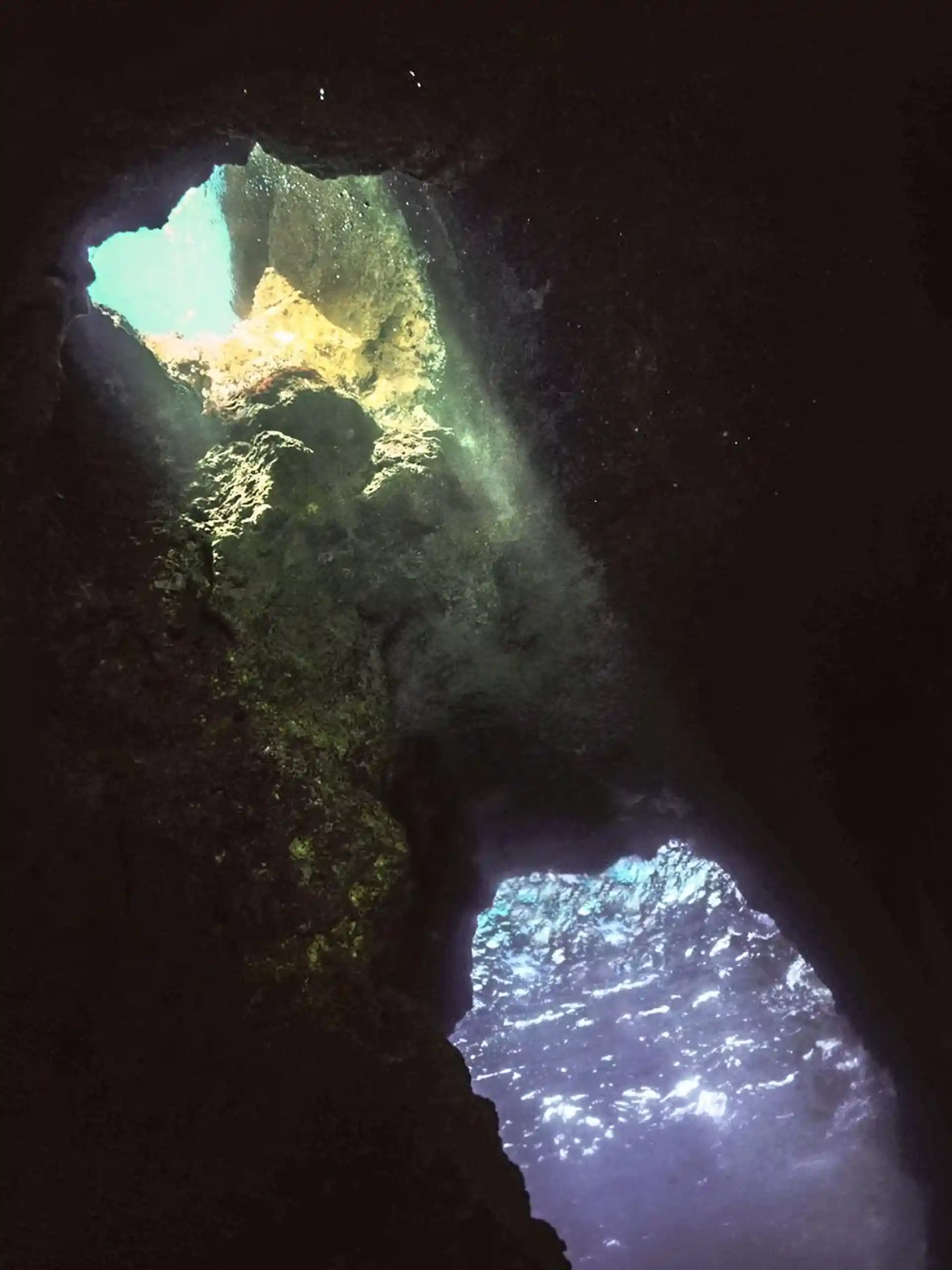 Photo du site de plongée
