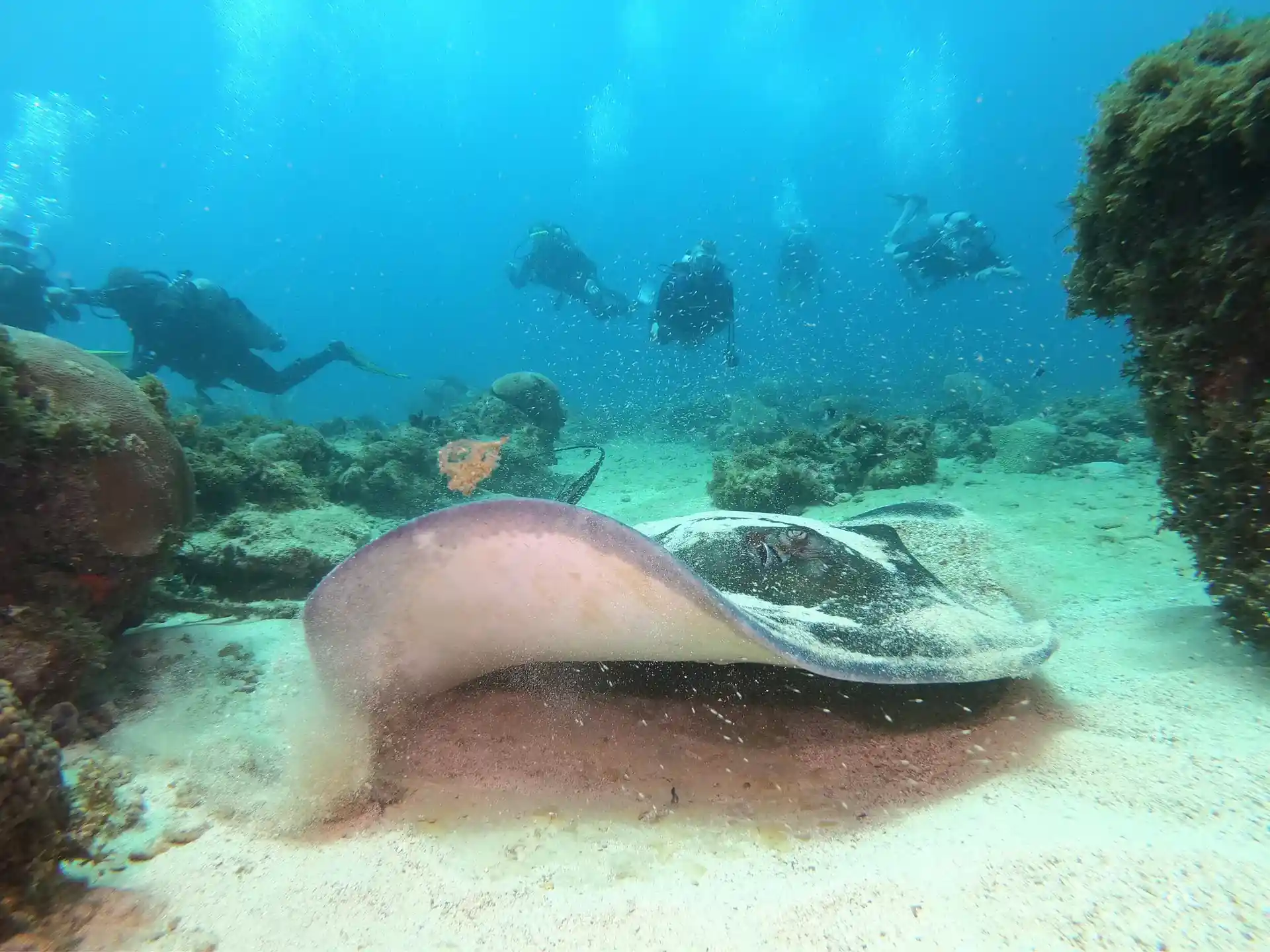 Dive site photo