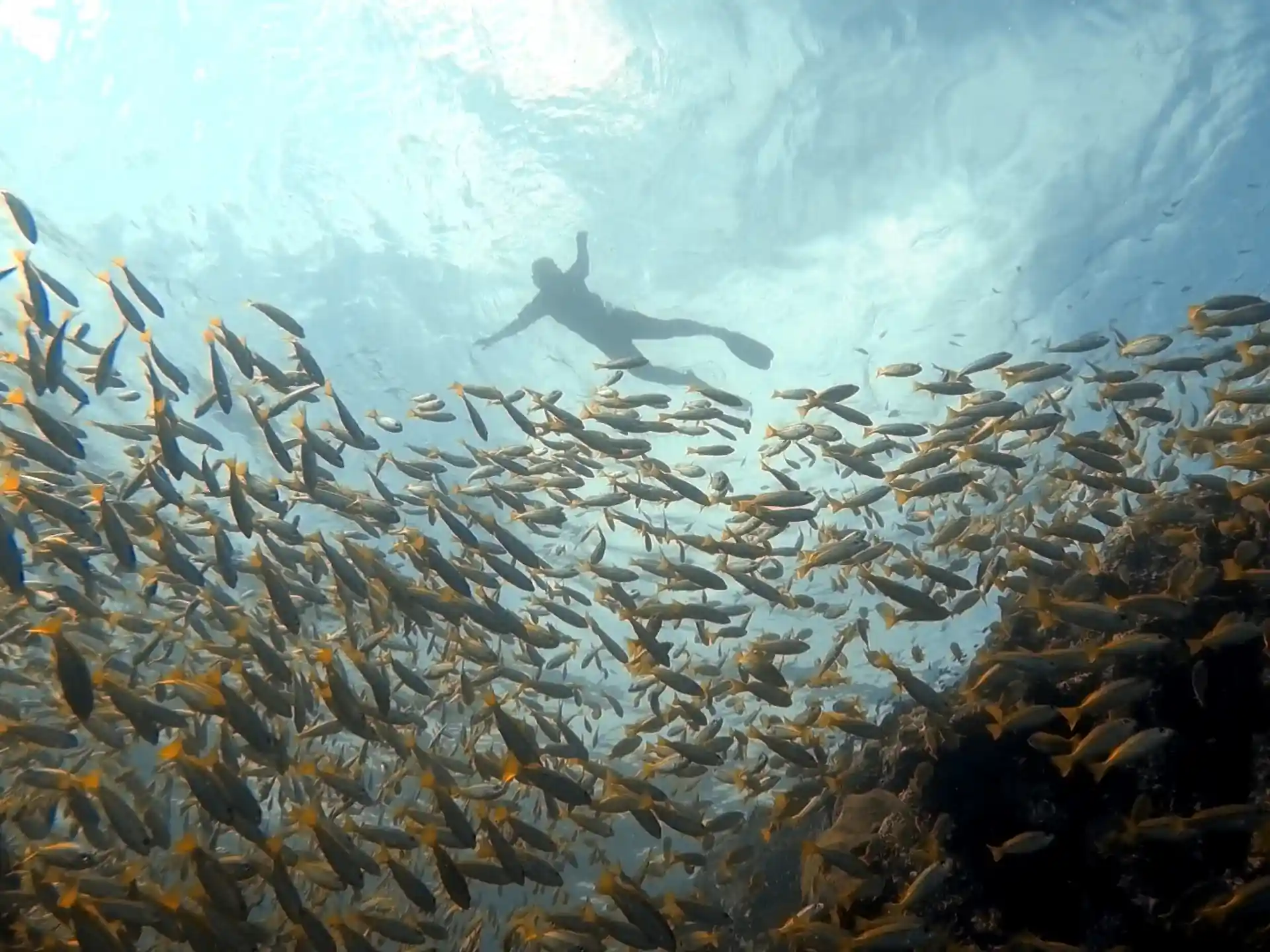 Foto van de duiklocatie