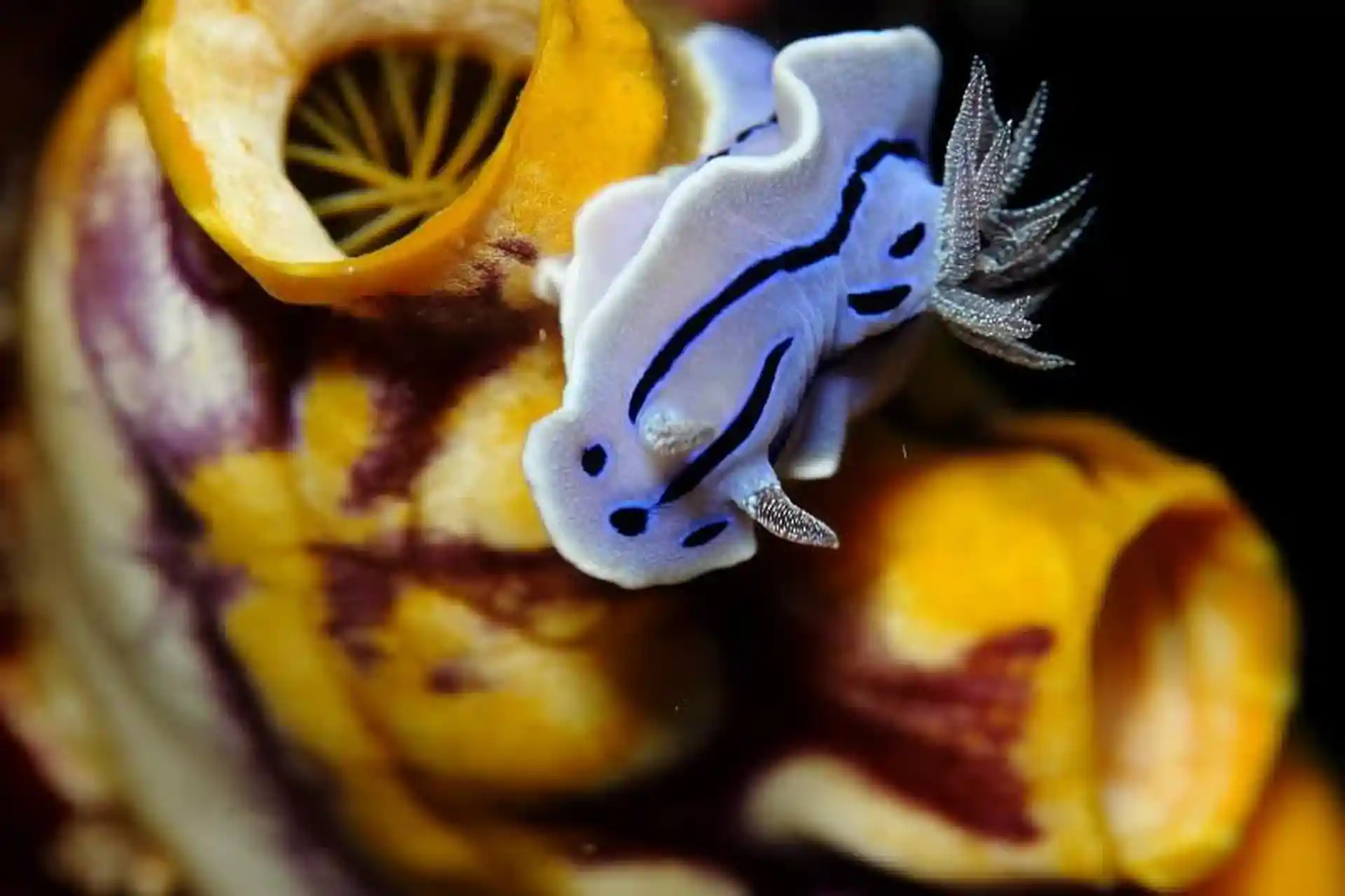 Foto des Tauchplatzes