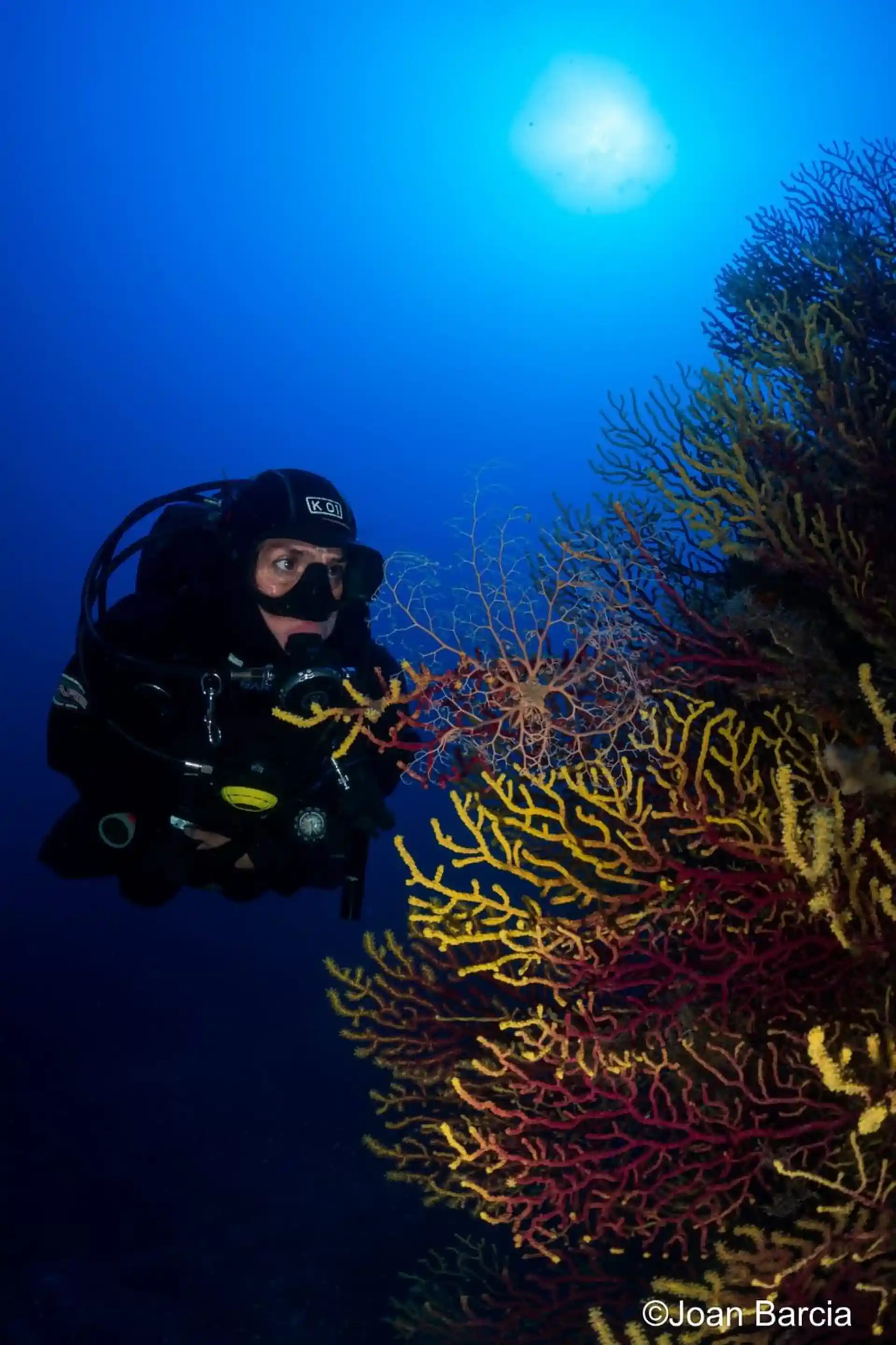 Foto del sitio de buceo