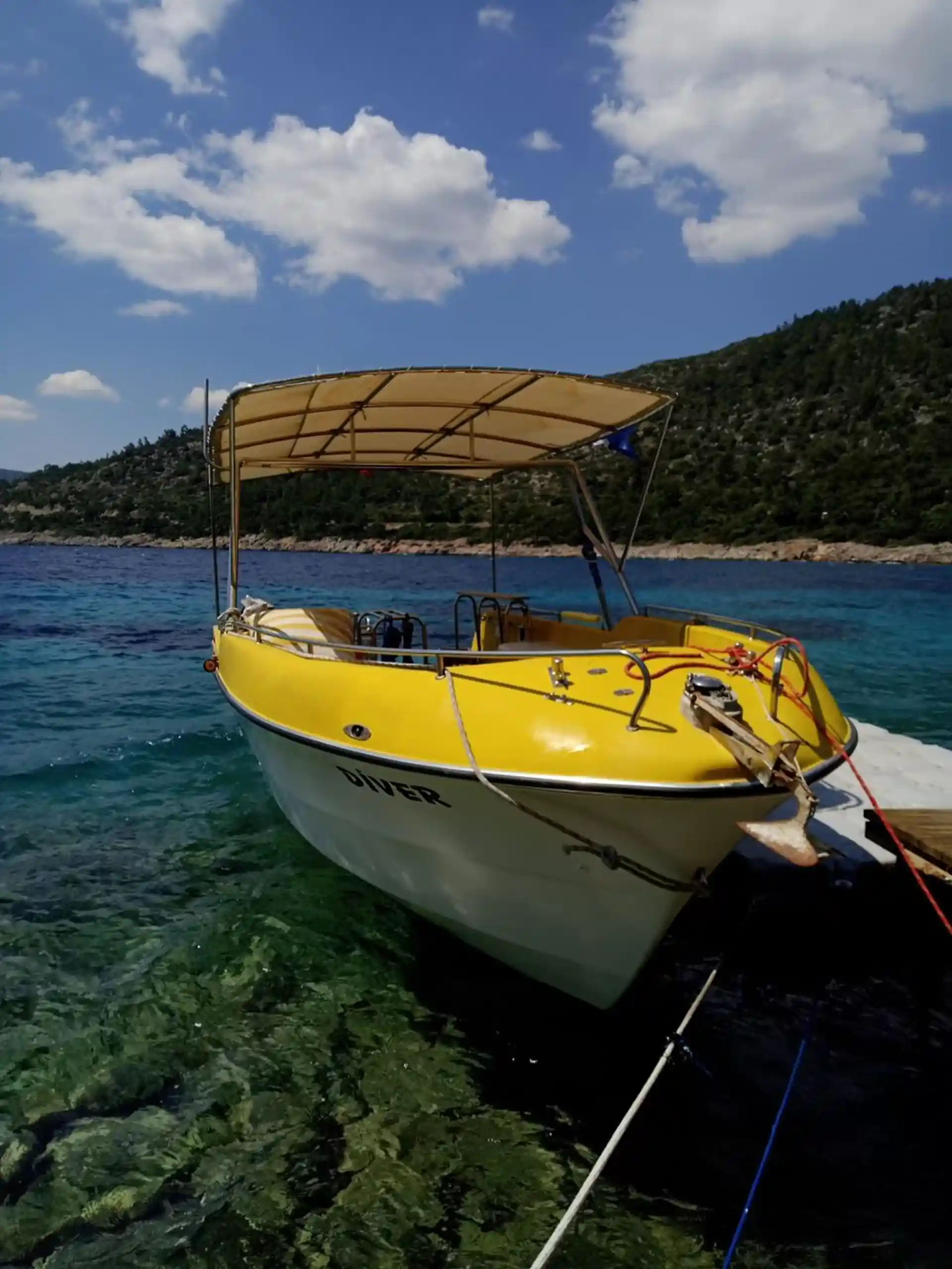 Dive shop photo