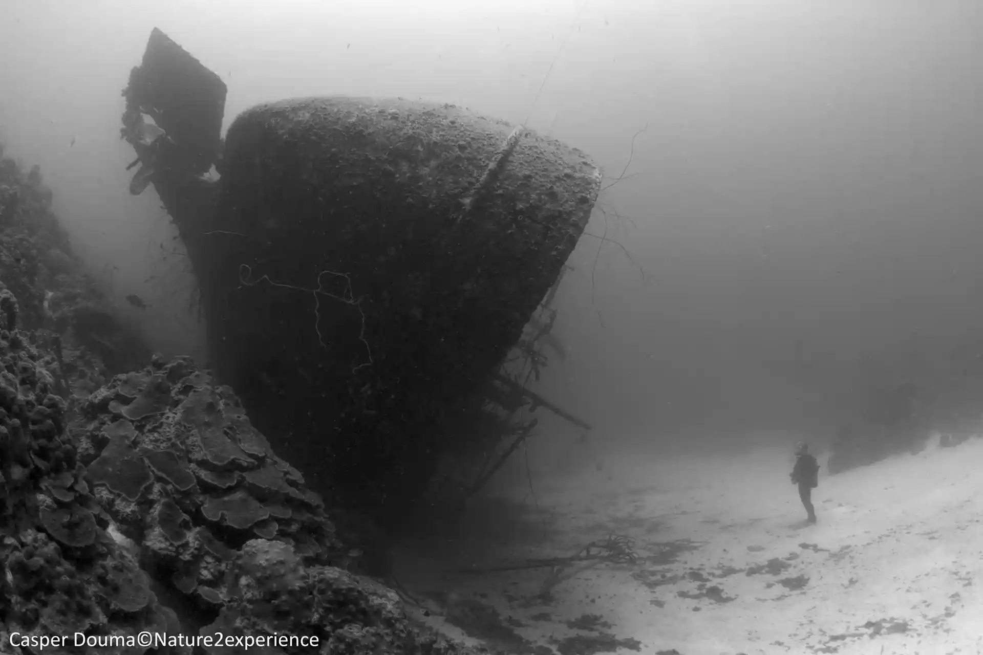 Dive site photo