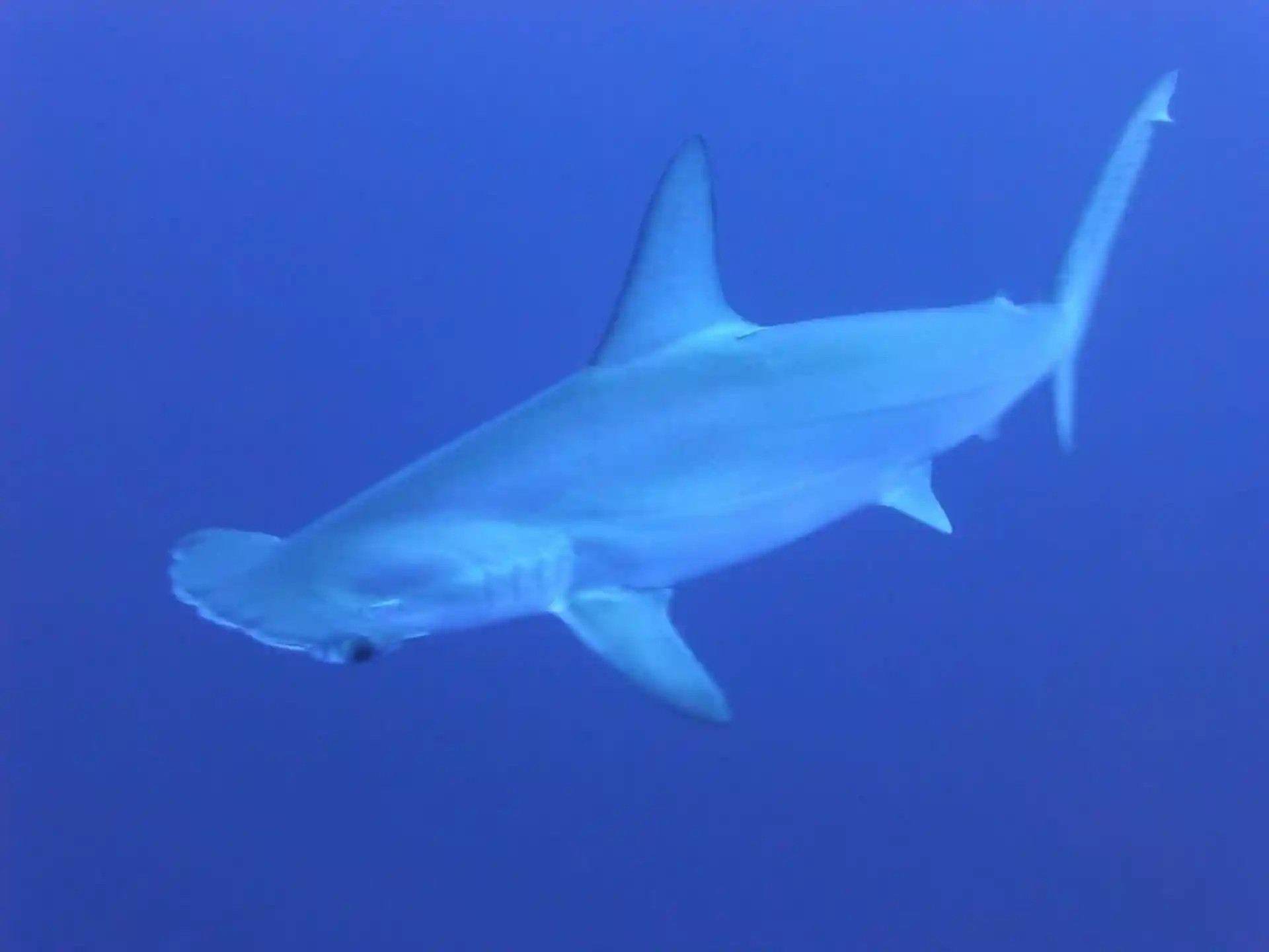 Dive site photo