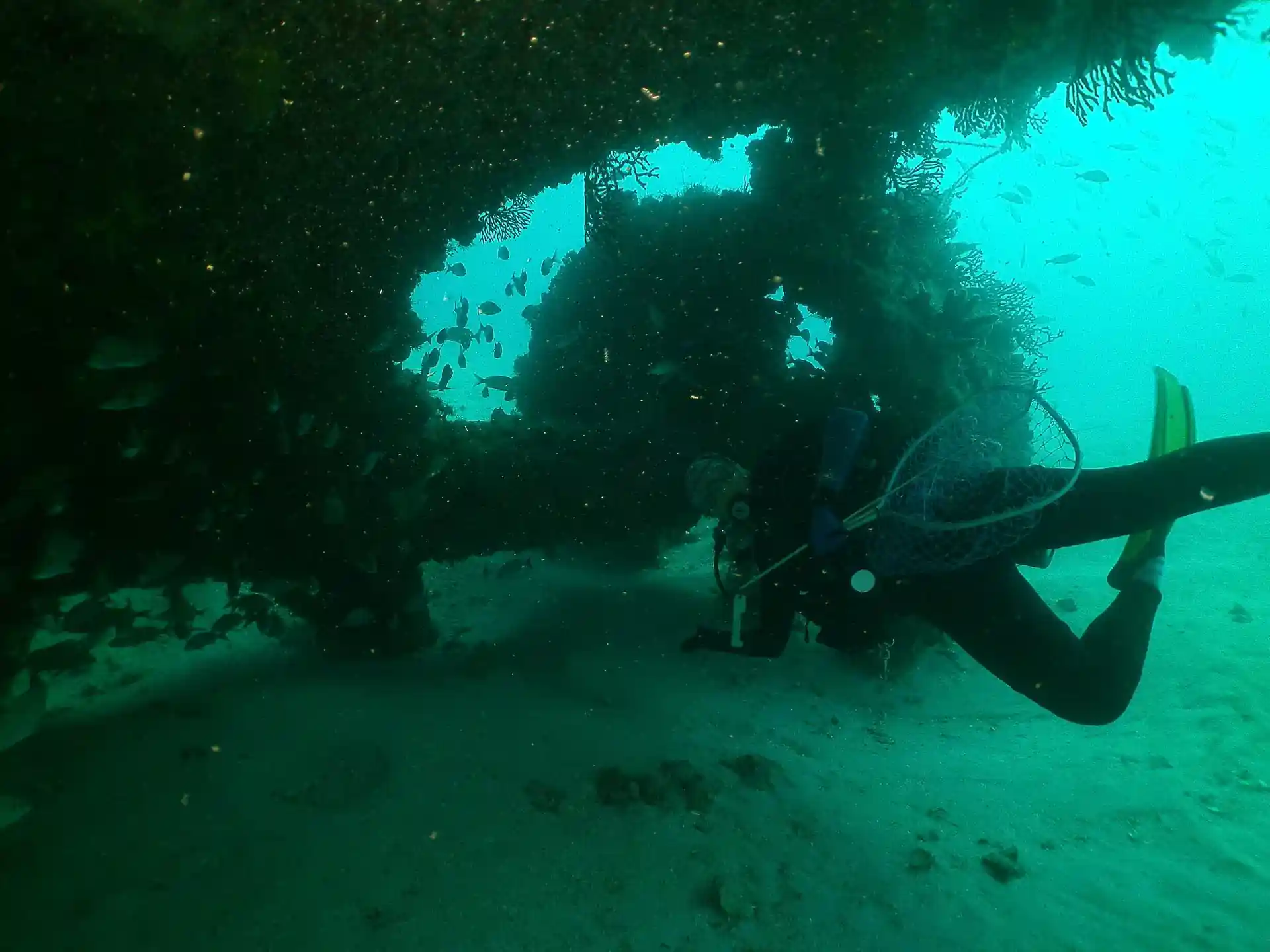 Dive site photo