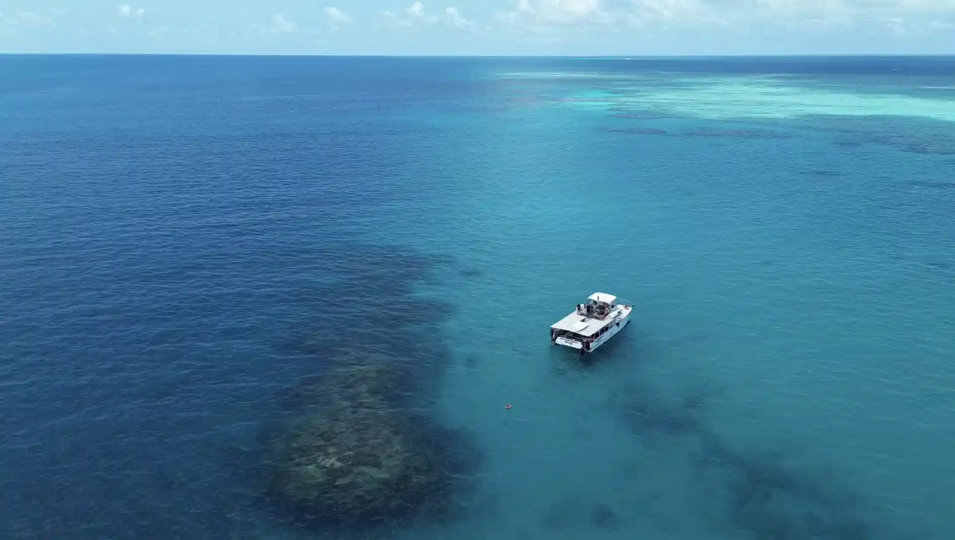 Foto de la tienda de buceo