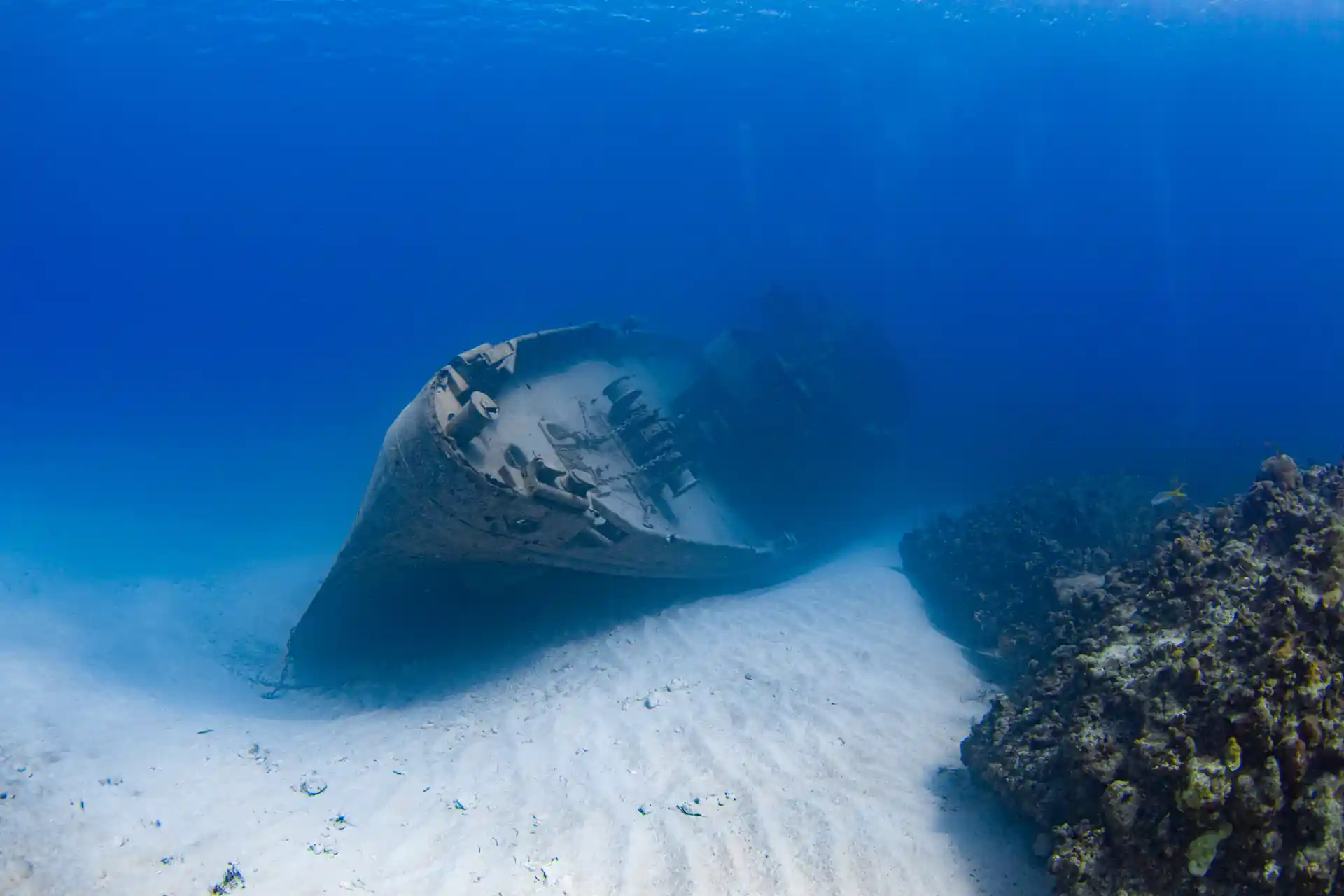 Kittiwake Wreck