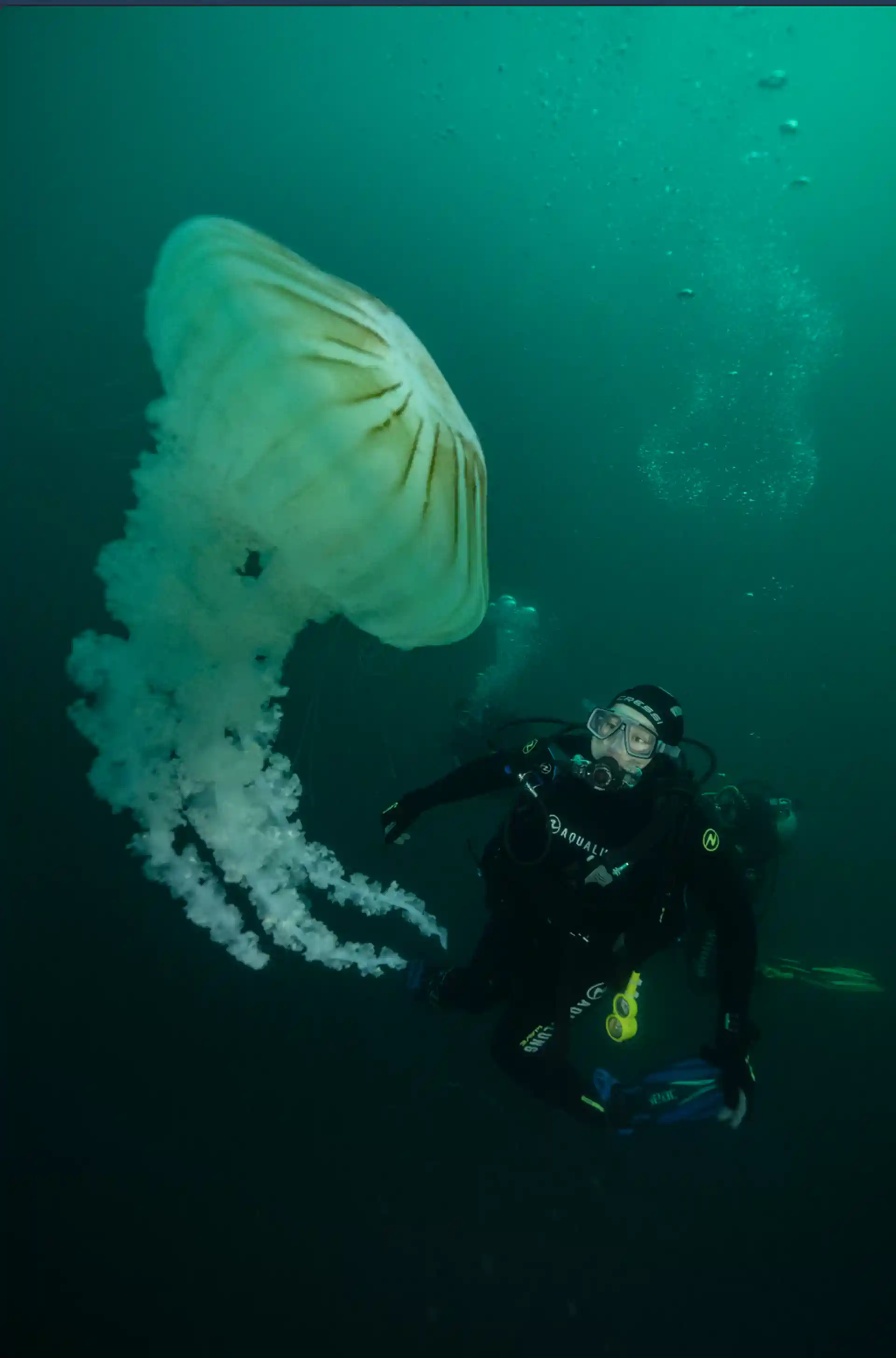 Dive site photo