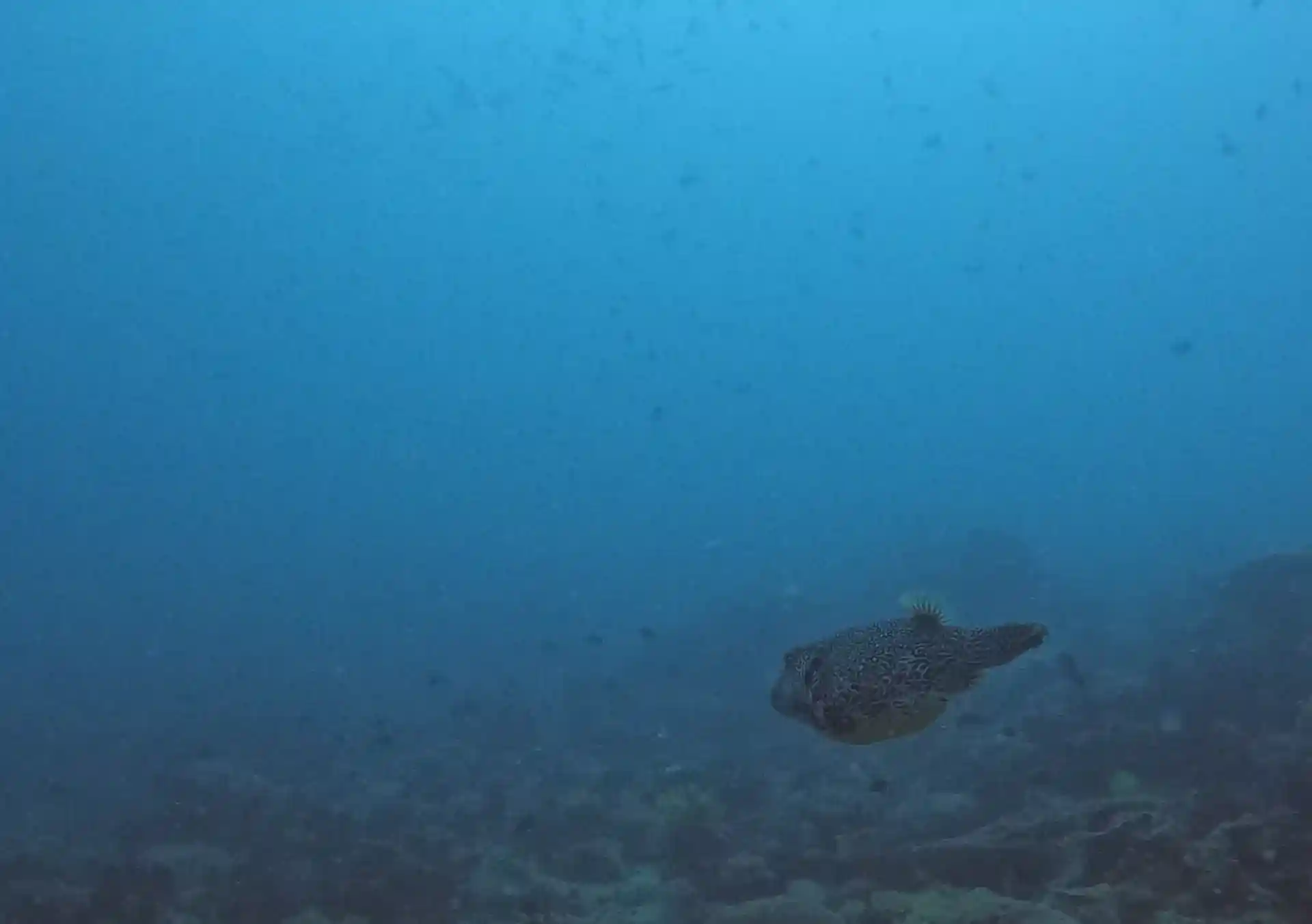 Foto des Tauchplatzes