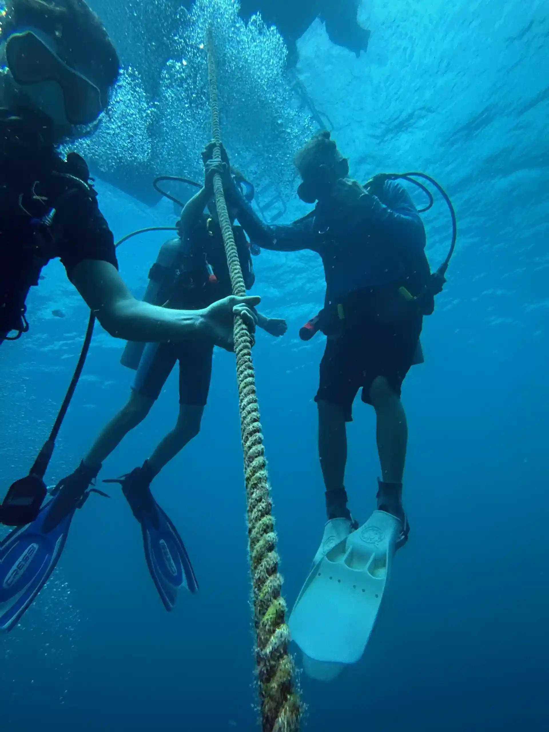 Photo de l'activité