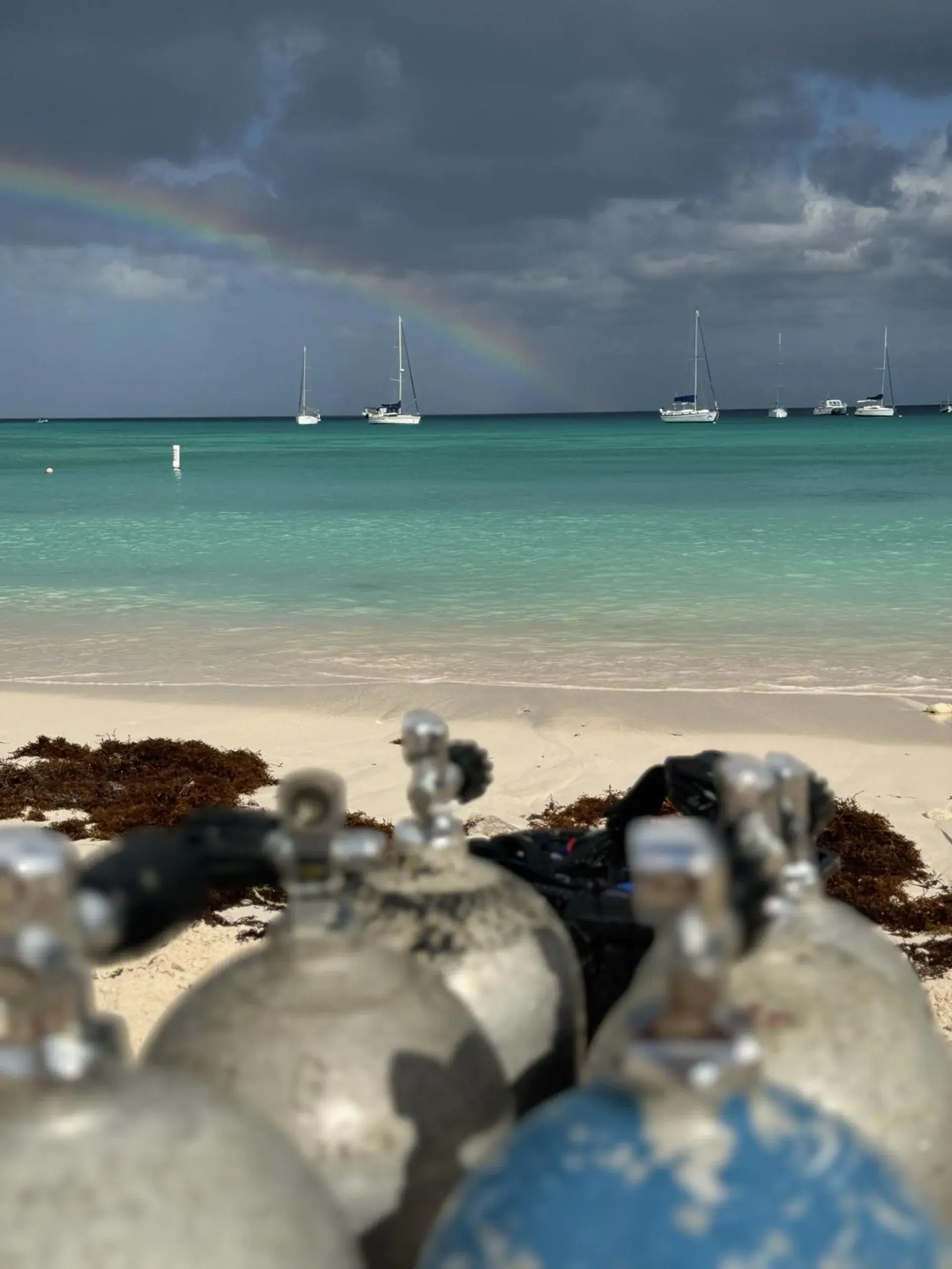 Foto de la tienda de buceo