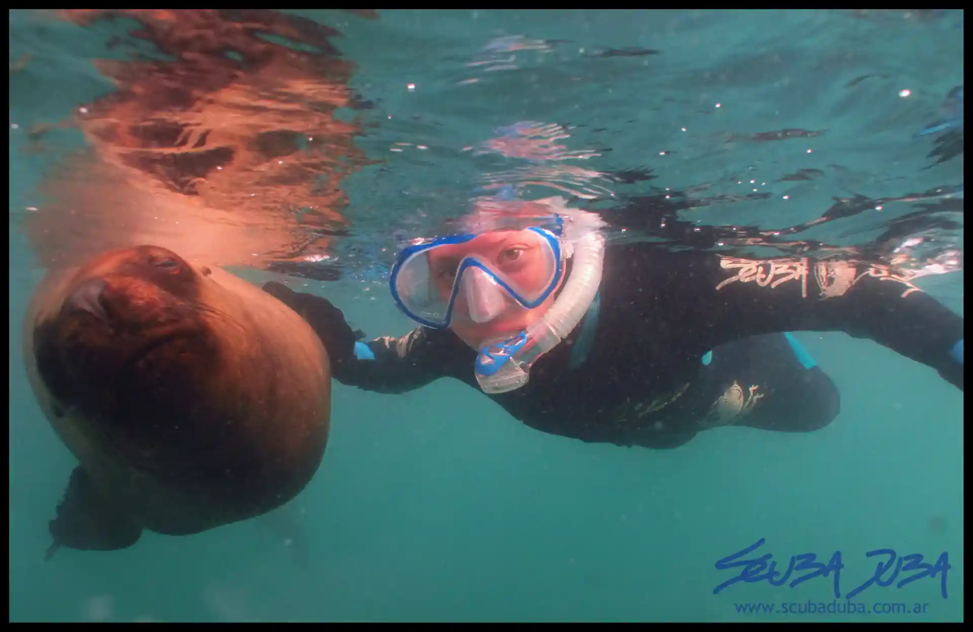 Dive shop photo