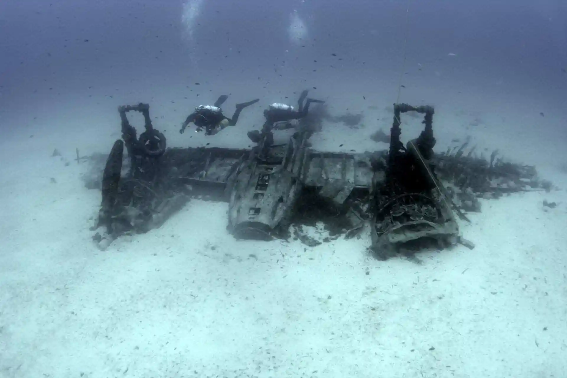 Dive shop photo