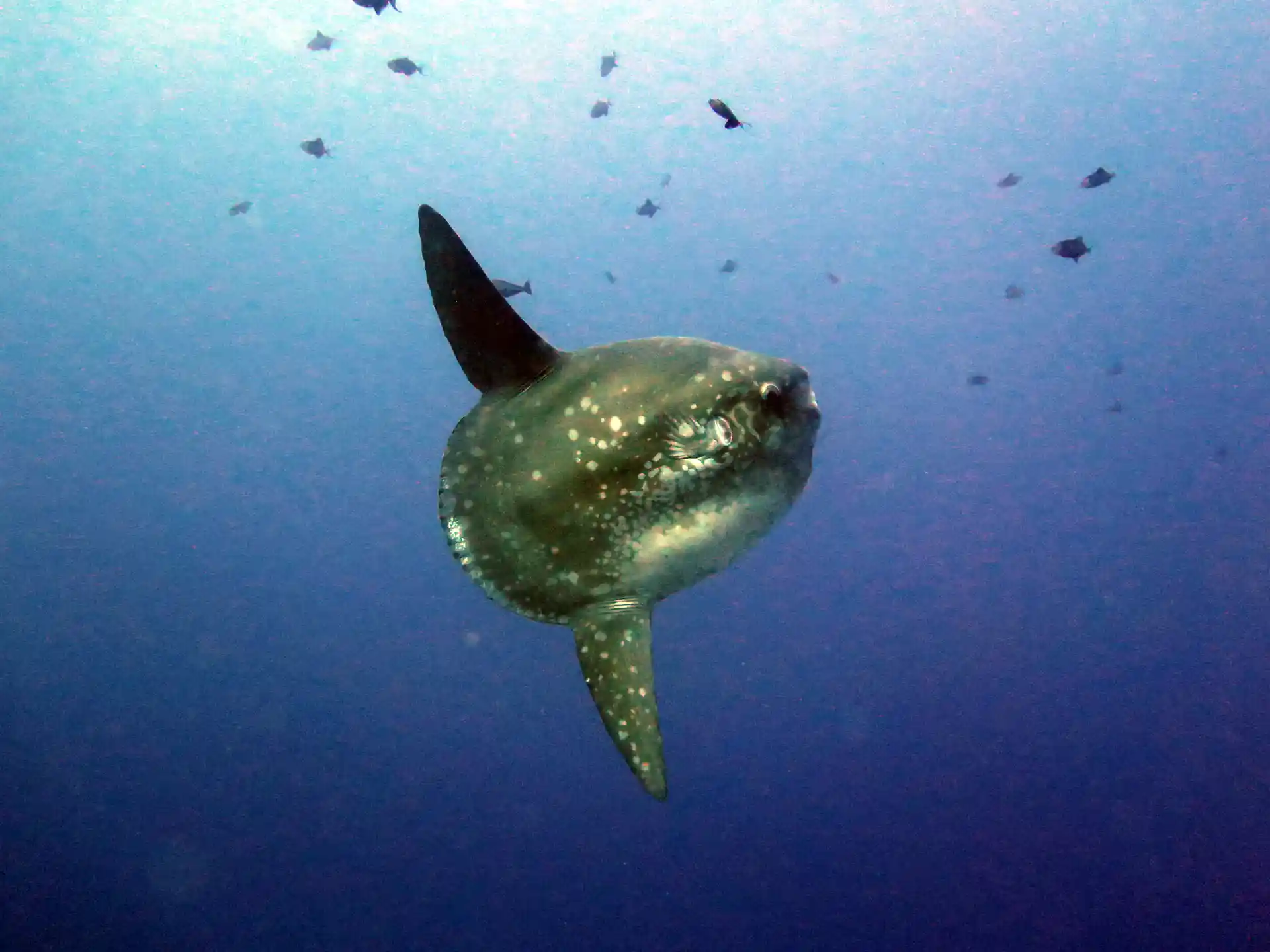 Photo de l'activité