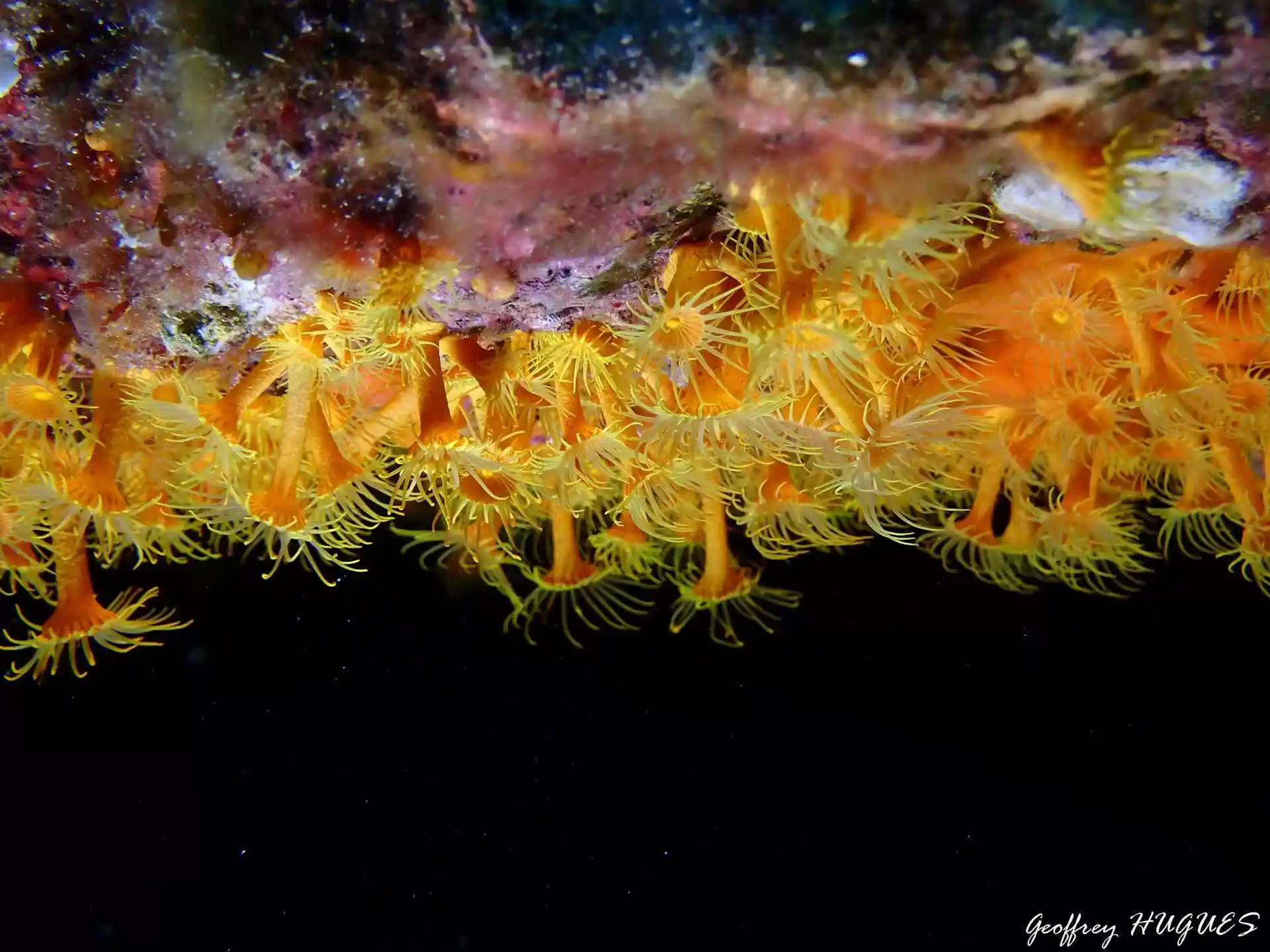 Dive site photo