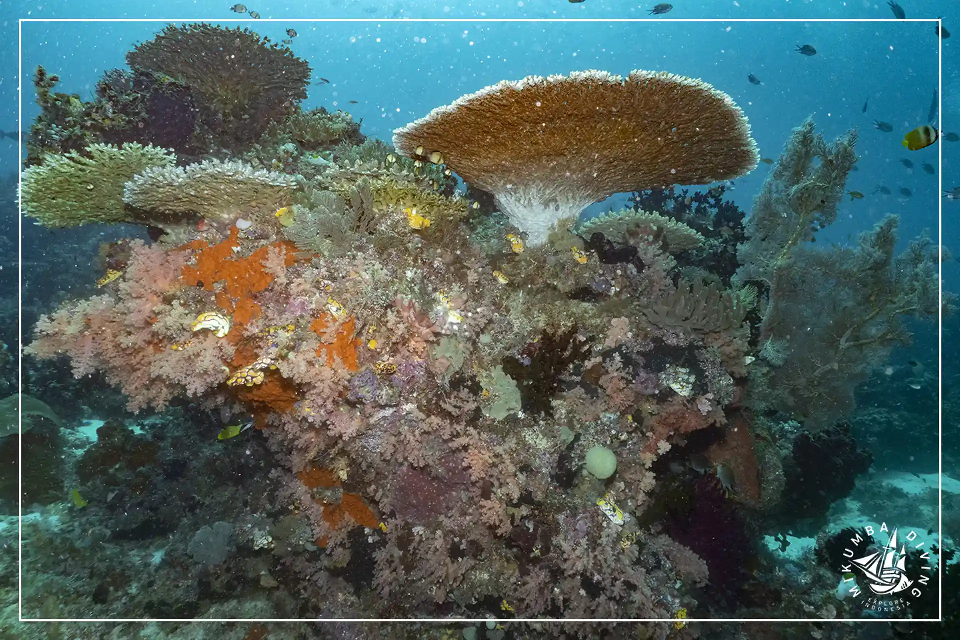 Foto de la actividad