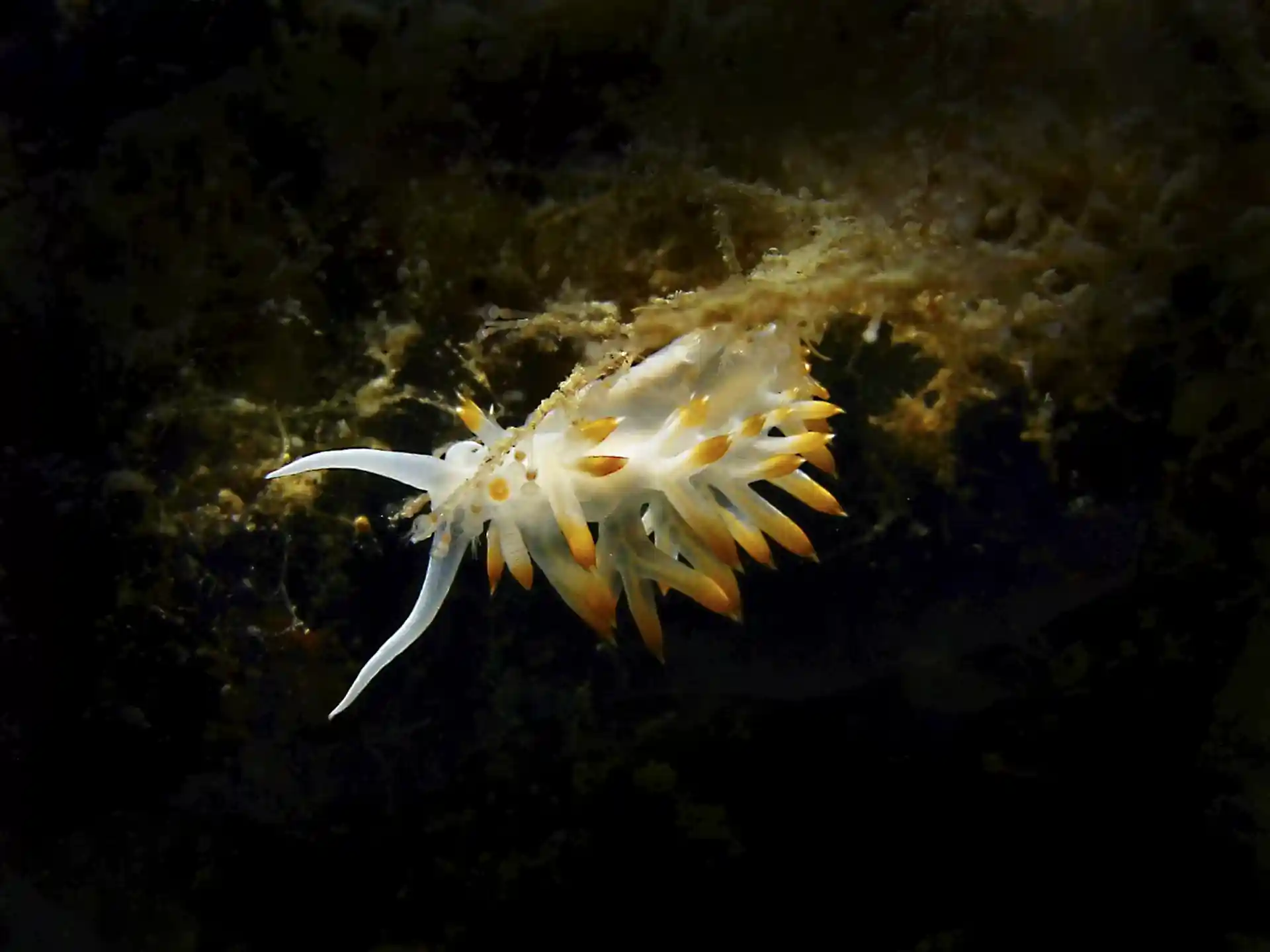 다이빙 포인트 사진