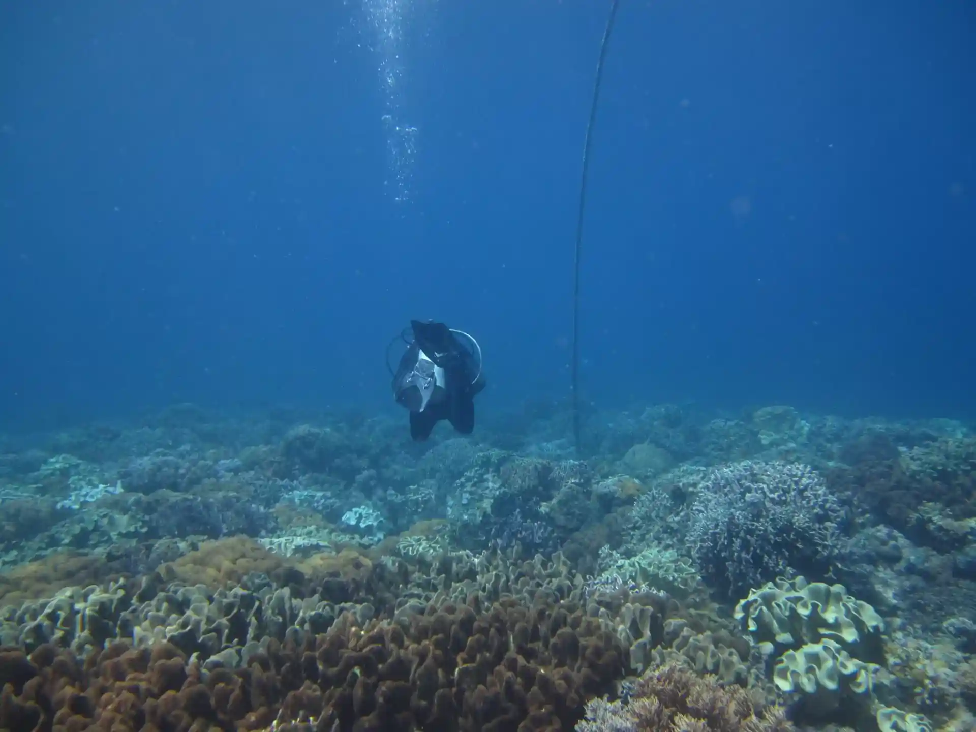 Dive site photo
