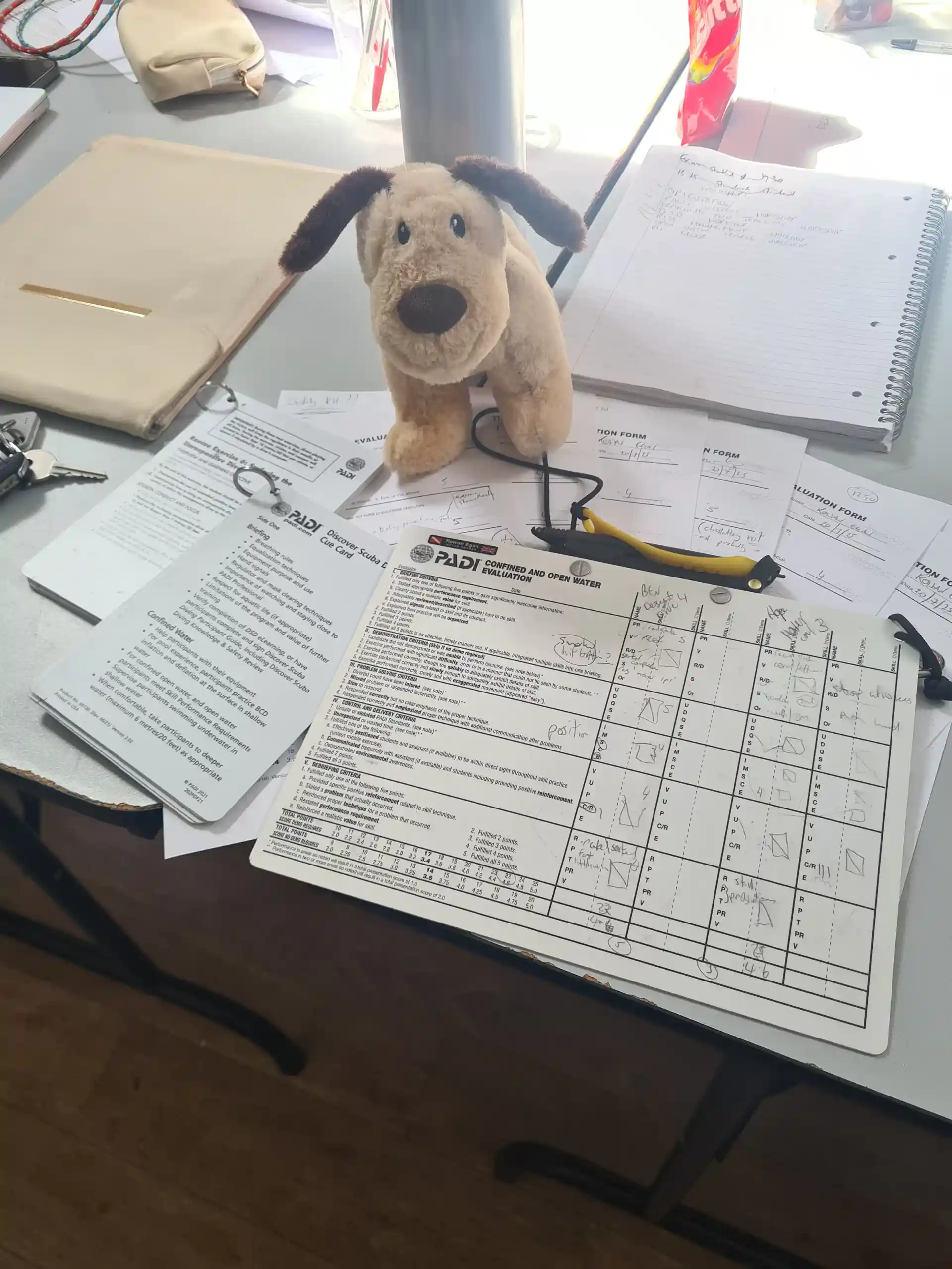 Non diving training aid