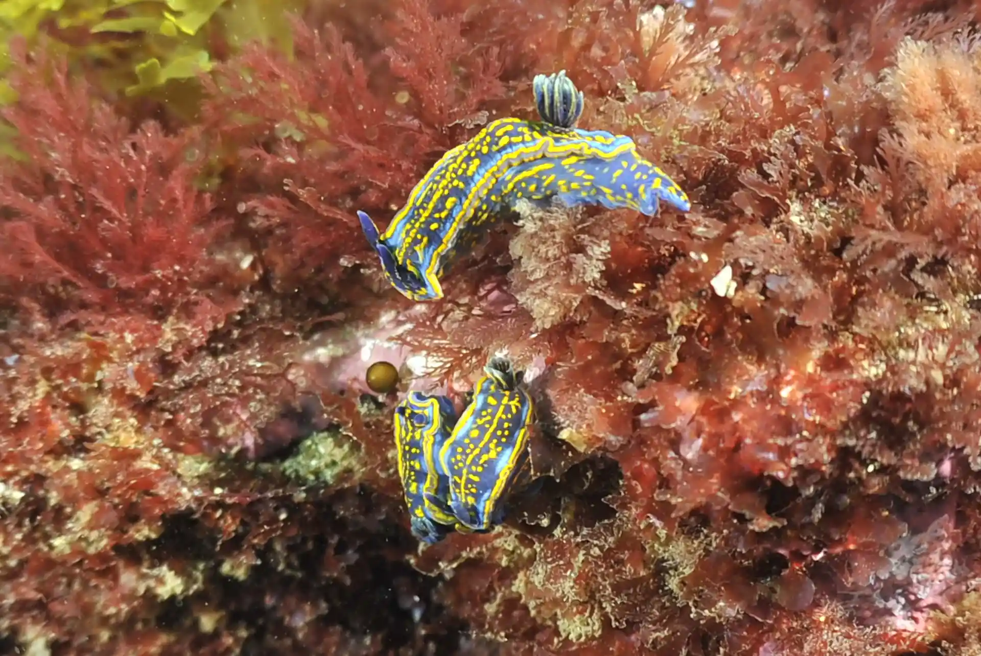 Foto del sitio de buceo