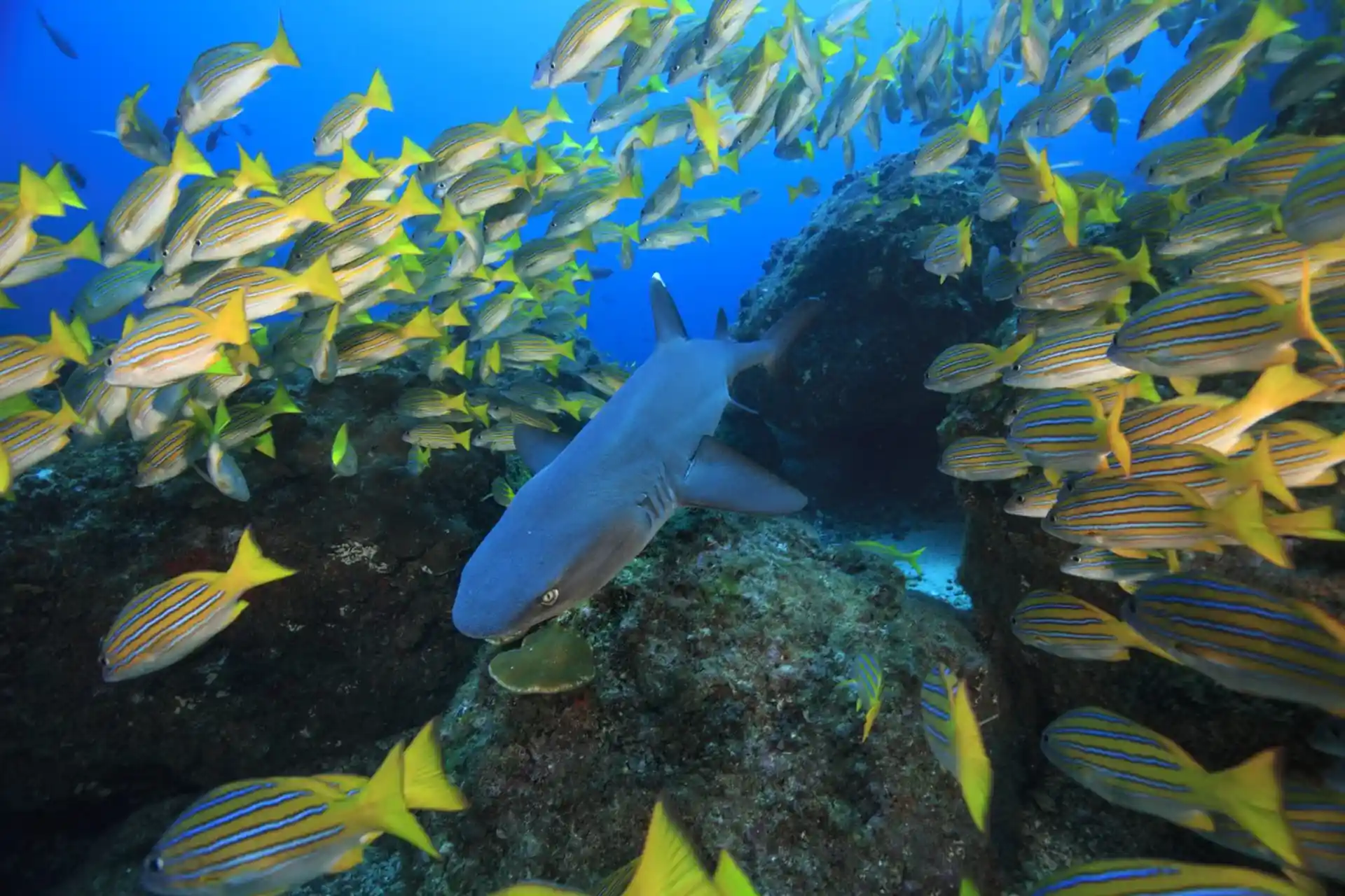 Foto des Tauchplatzes