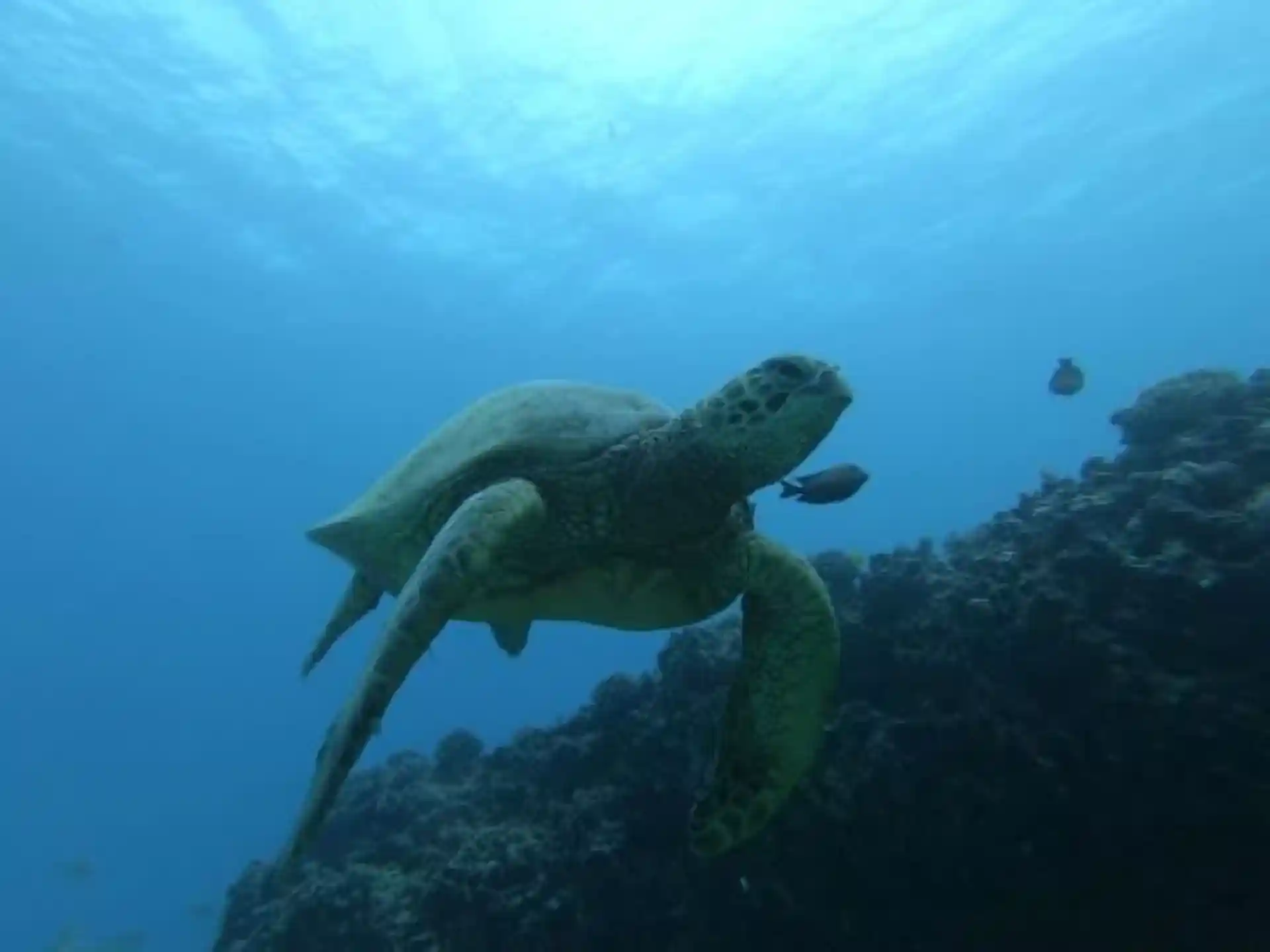 Foto van de duiklocatie