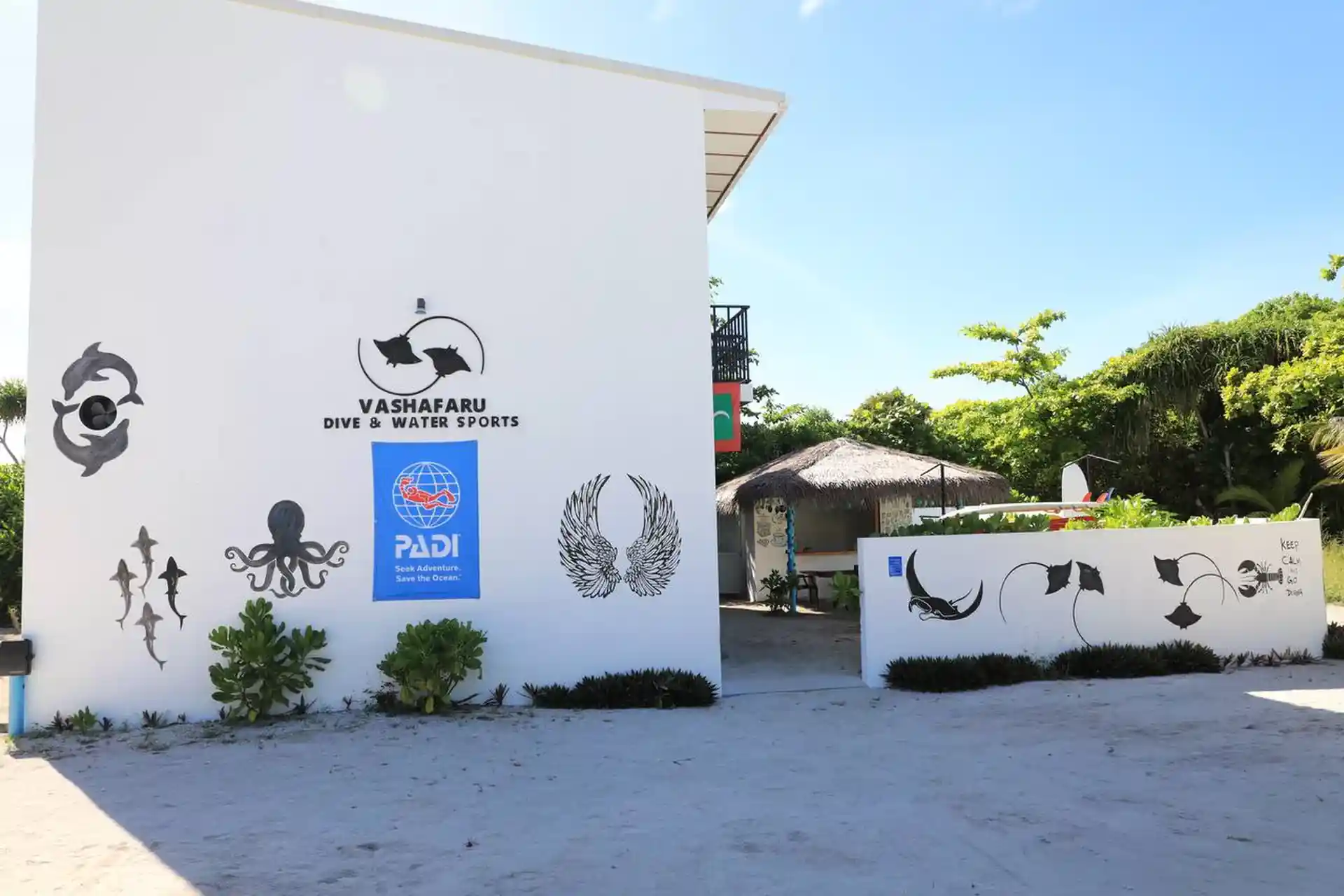 Dive shop photo