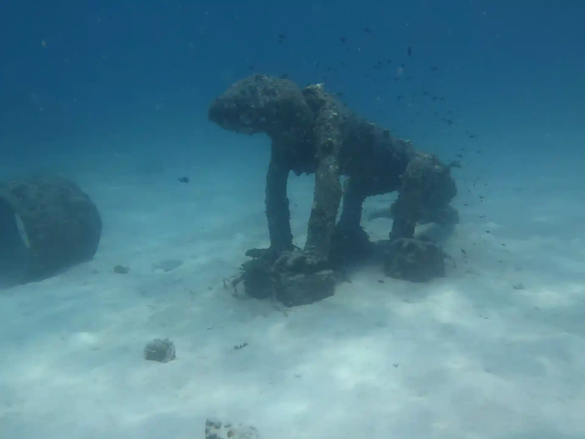 Photo du site de plongée