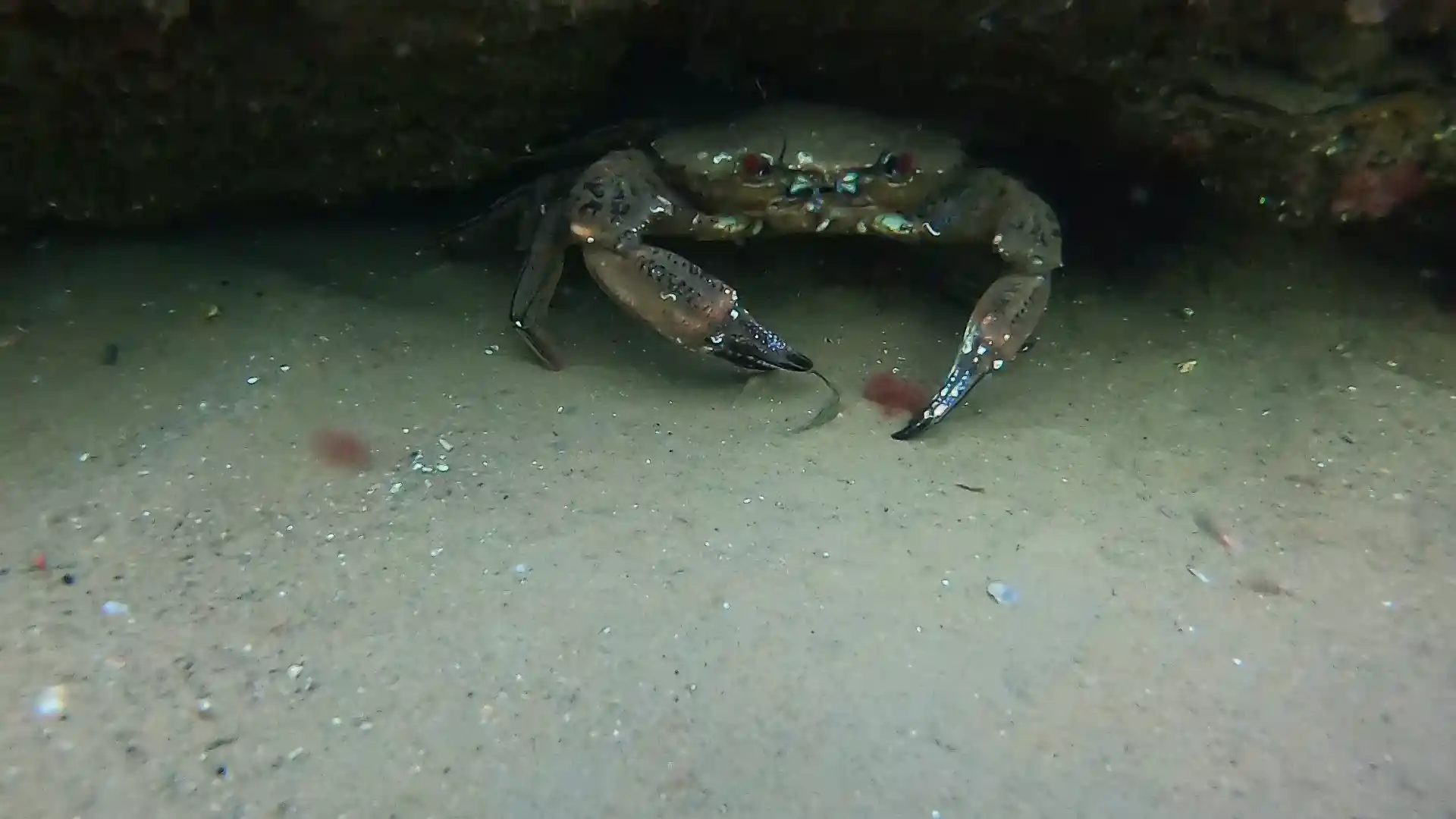 Photo du site de plongée