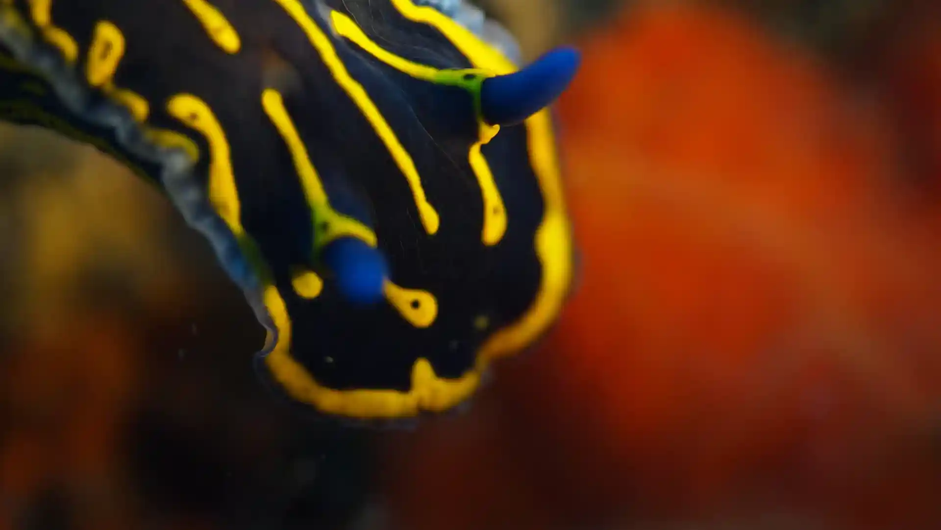 다이빙 포인트 사진