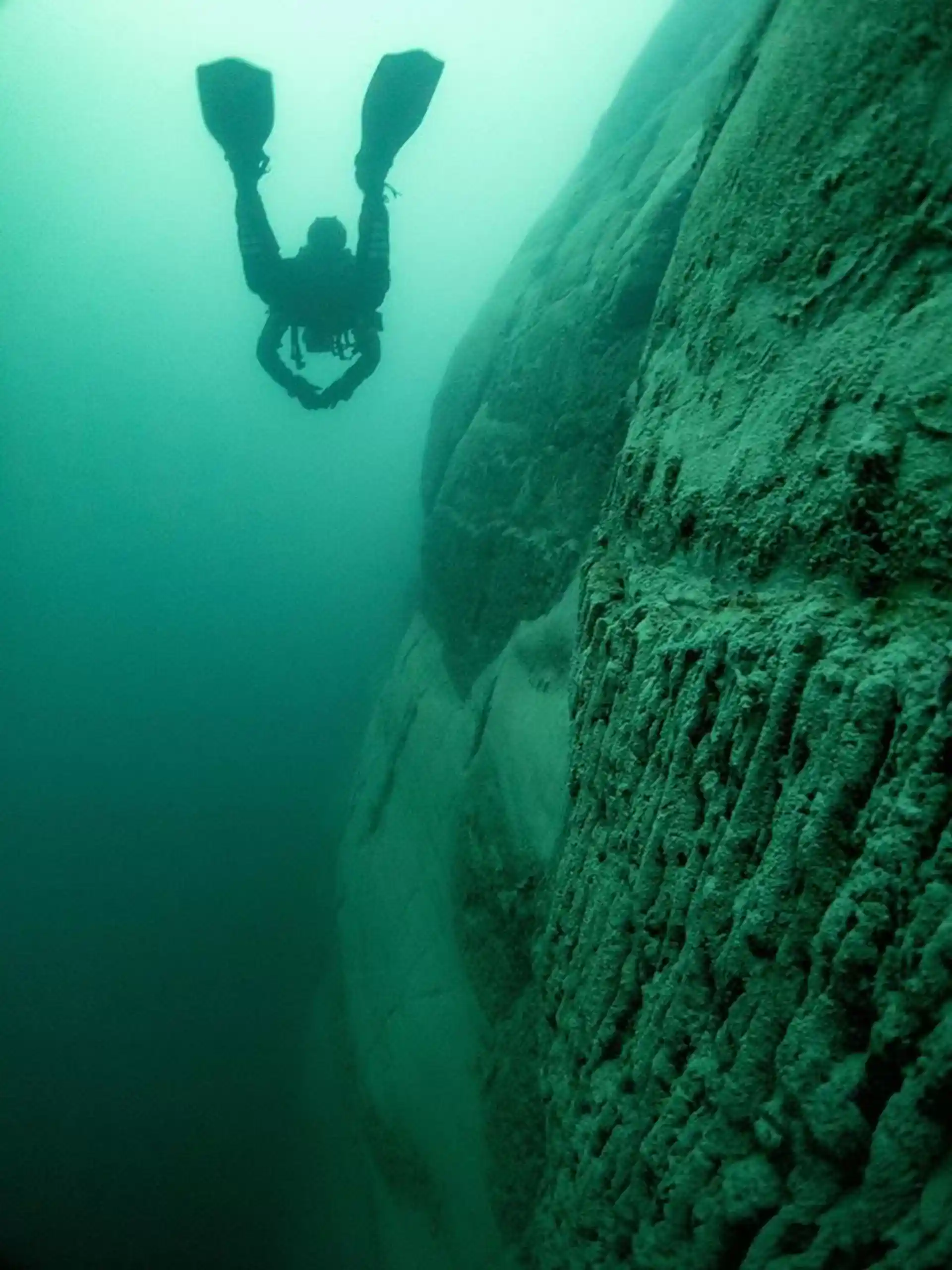 Photo de l'activité