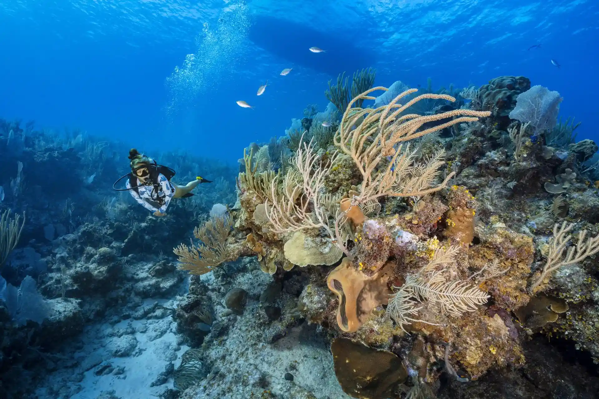 Dive site photo