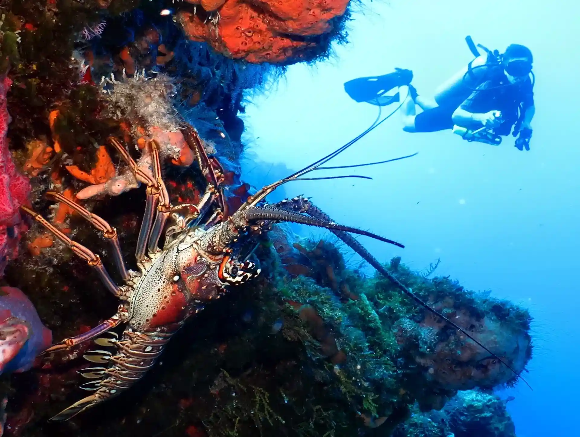 Dive site photo