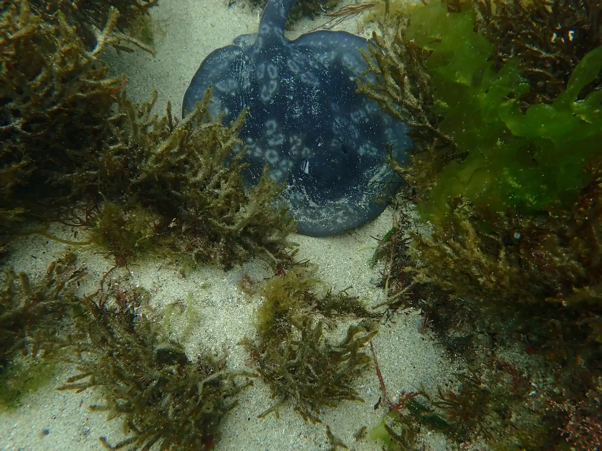 Dive site photo