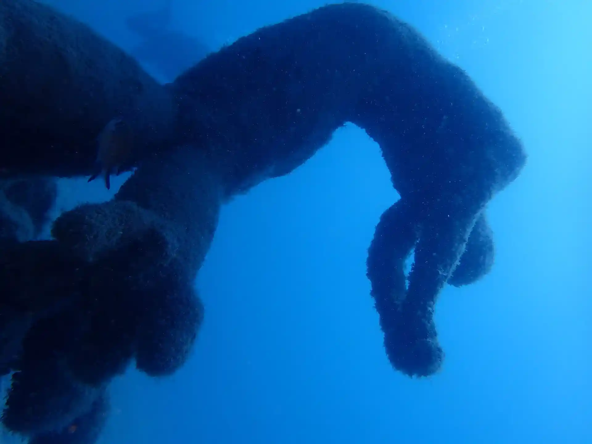 Dive site photo