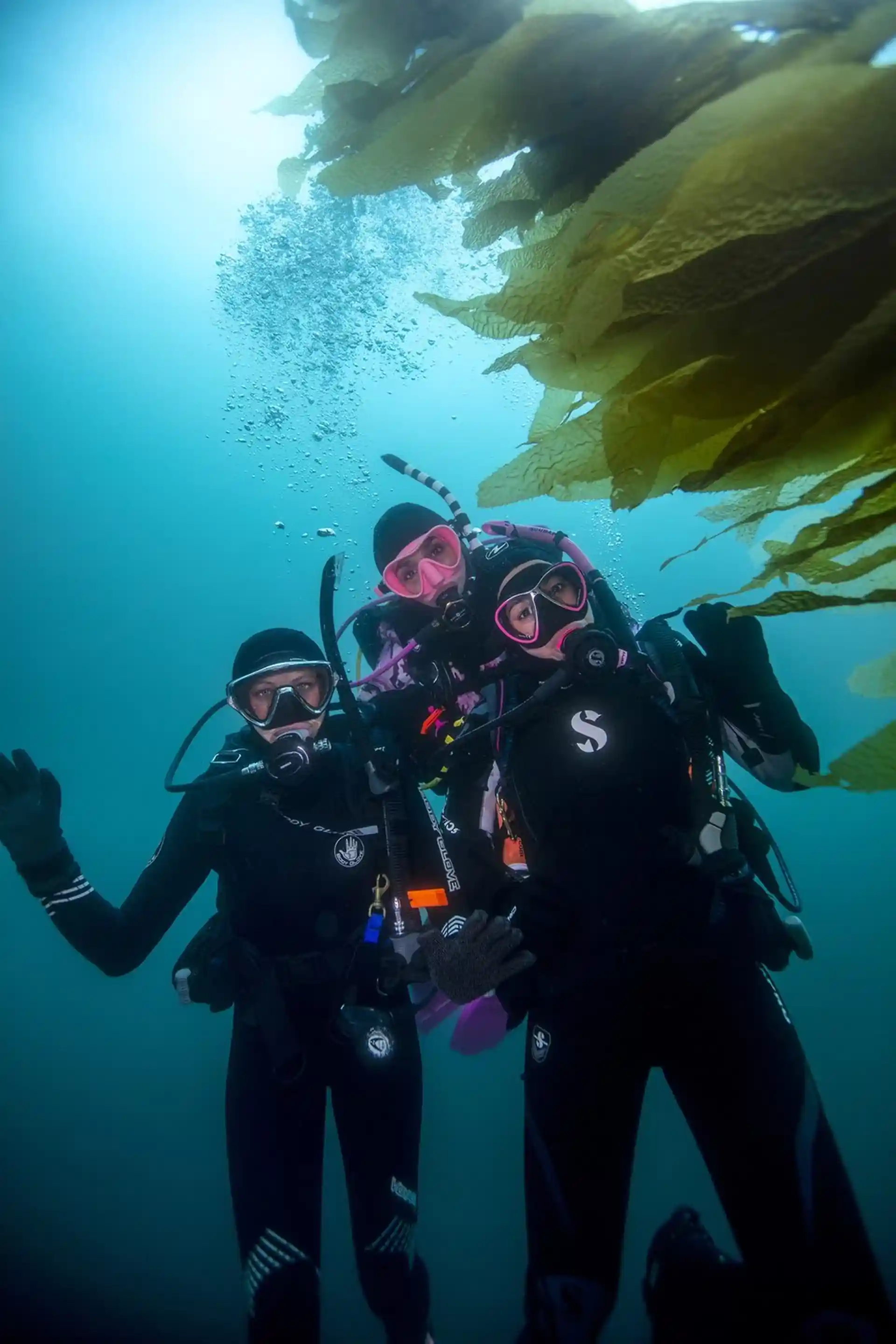 Dive site photo