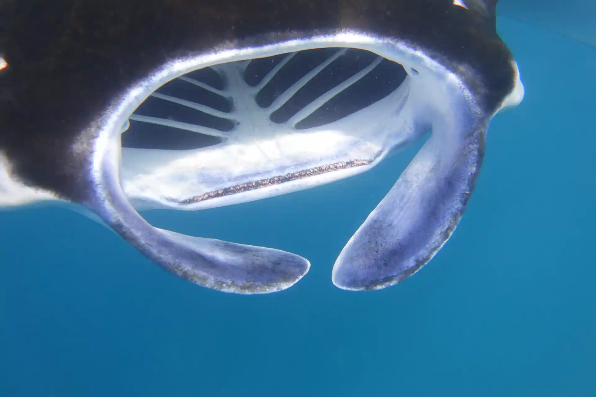 Dive shop photo