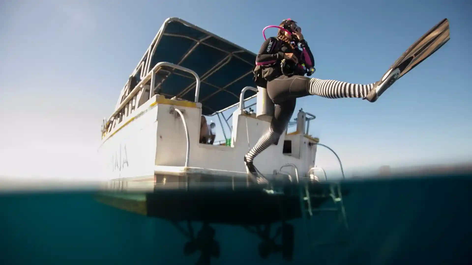 Discover how easy and comfortable it is to dive from different types of boats.