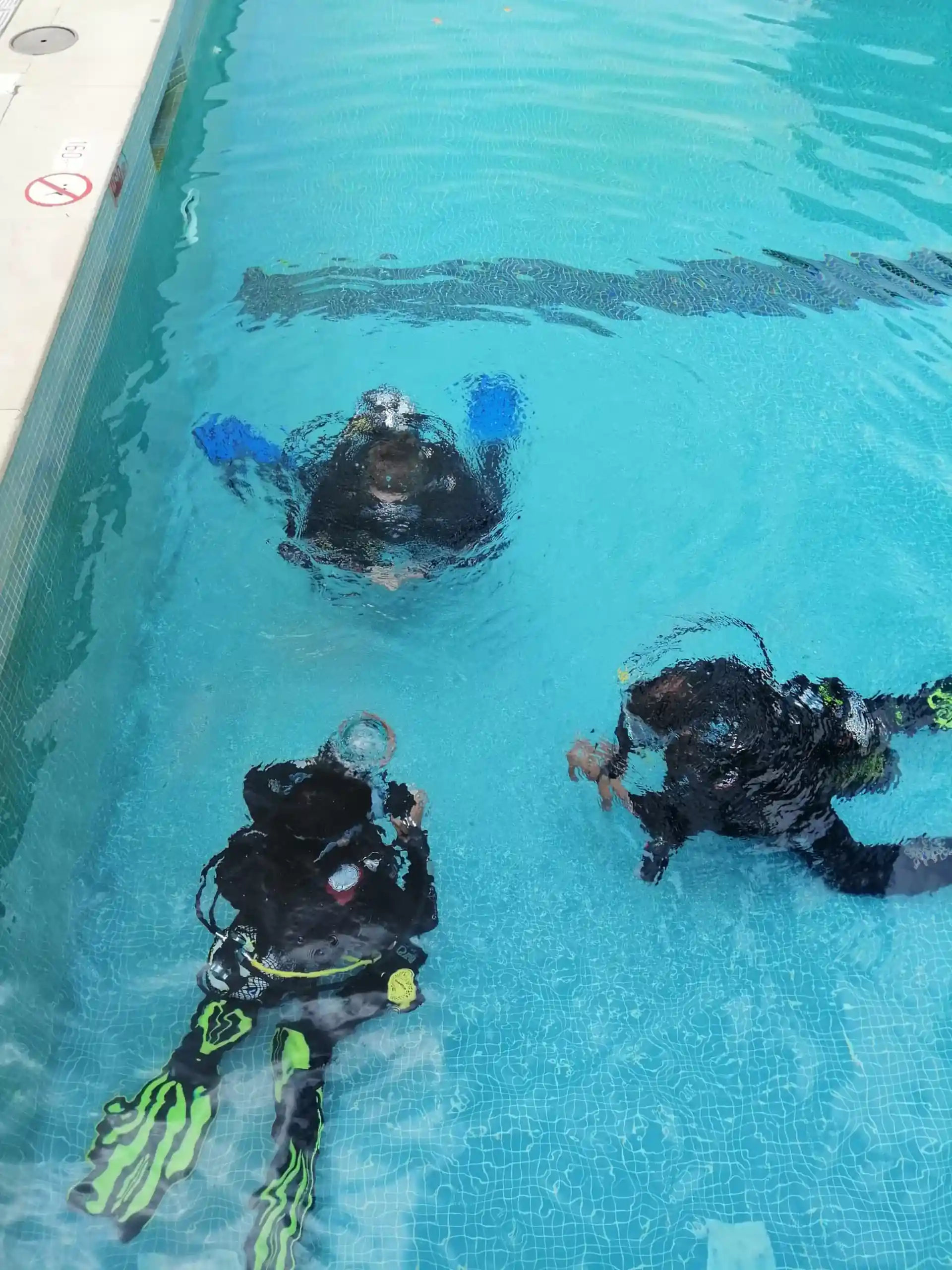 Foto de la actividad