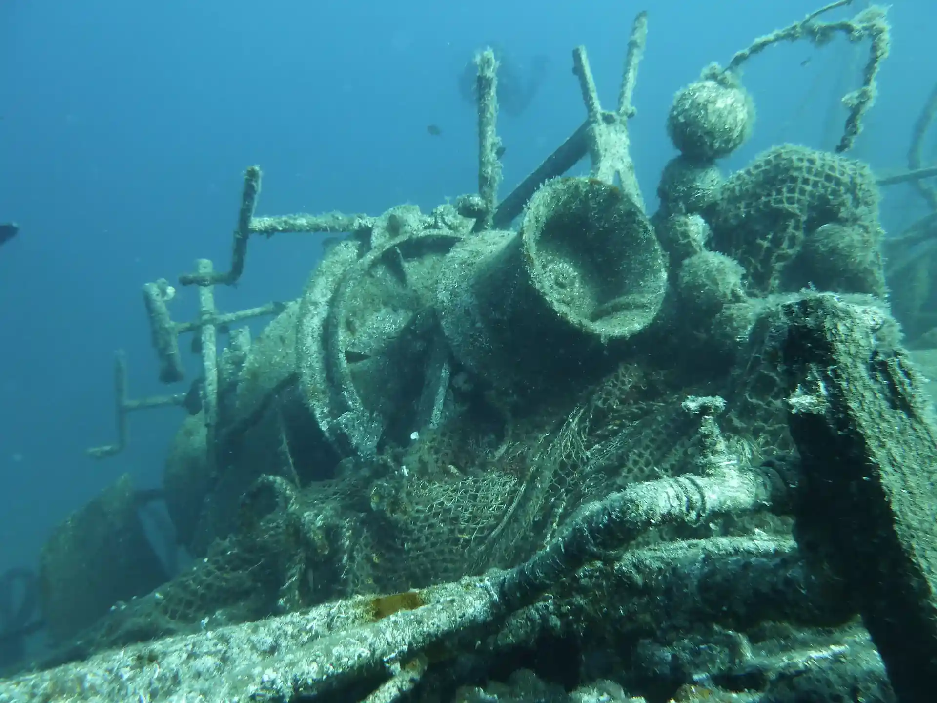 ダイビングサイトの写真