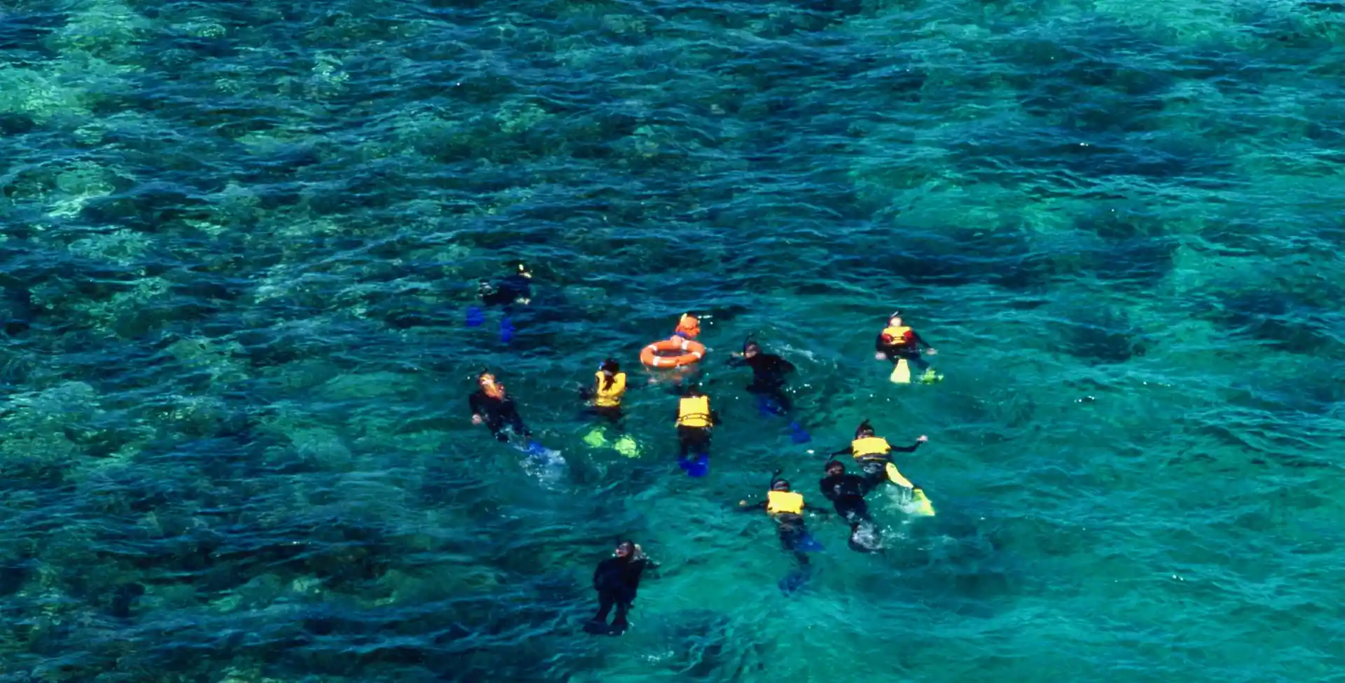 Dive shop photo