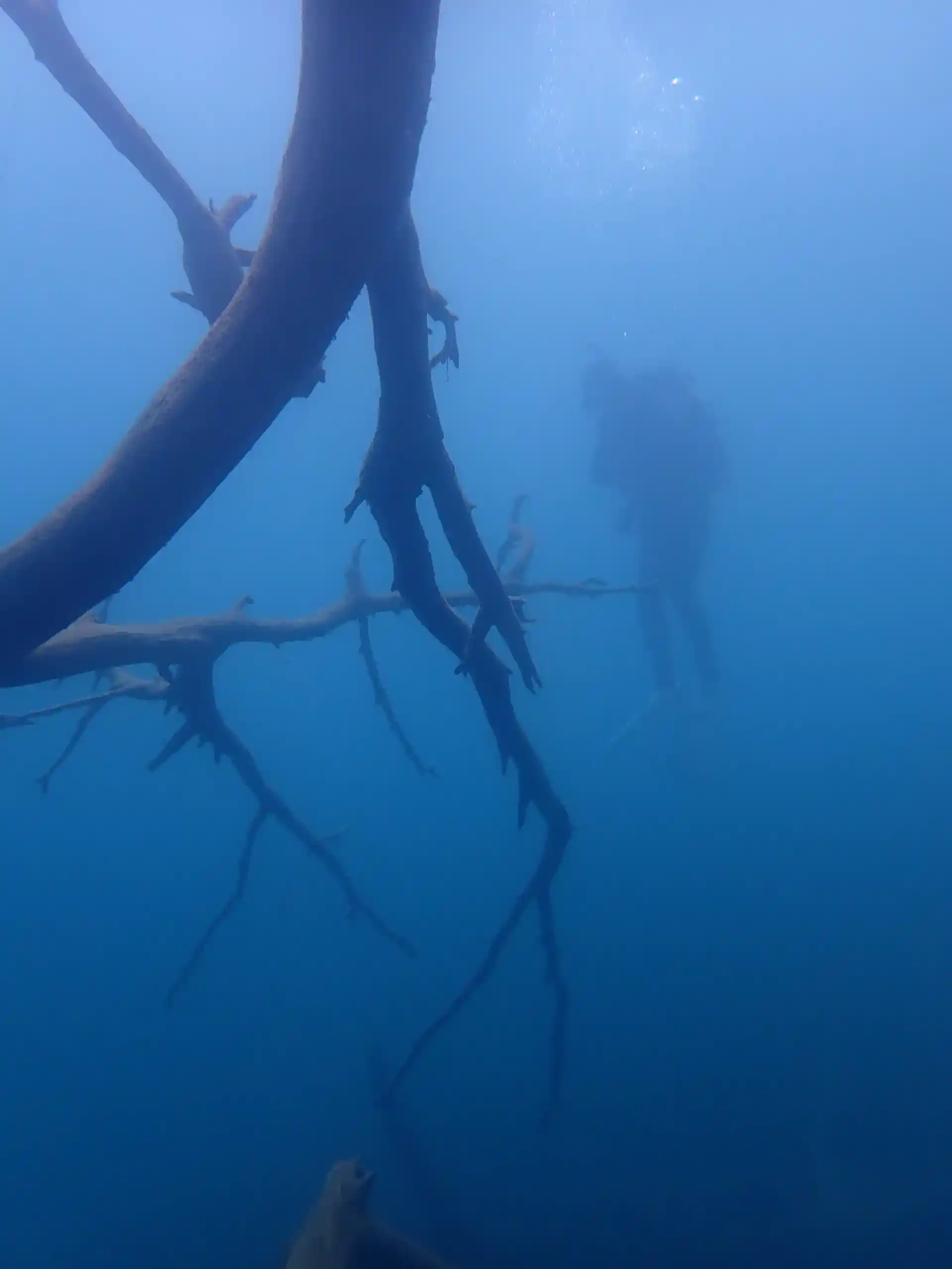Dive shop photo
