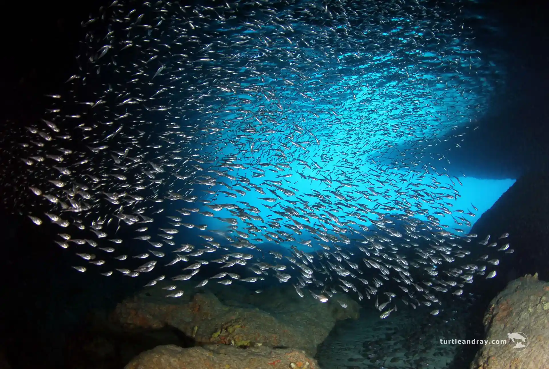 Dive site photo