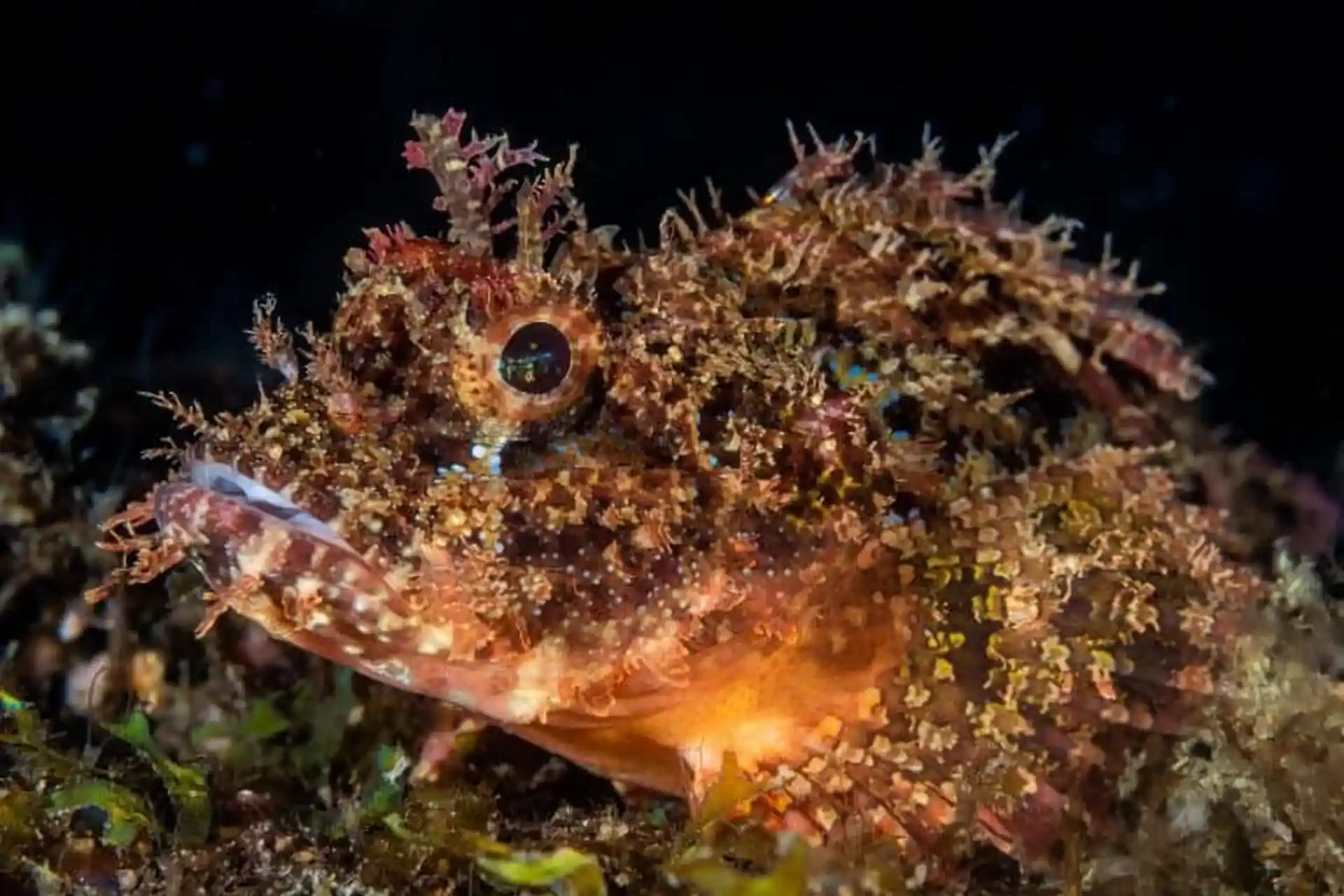 Dive site photo