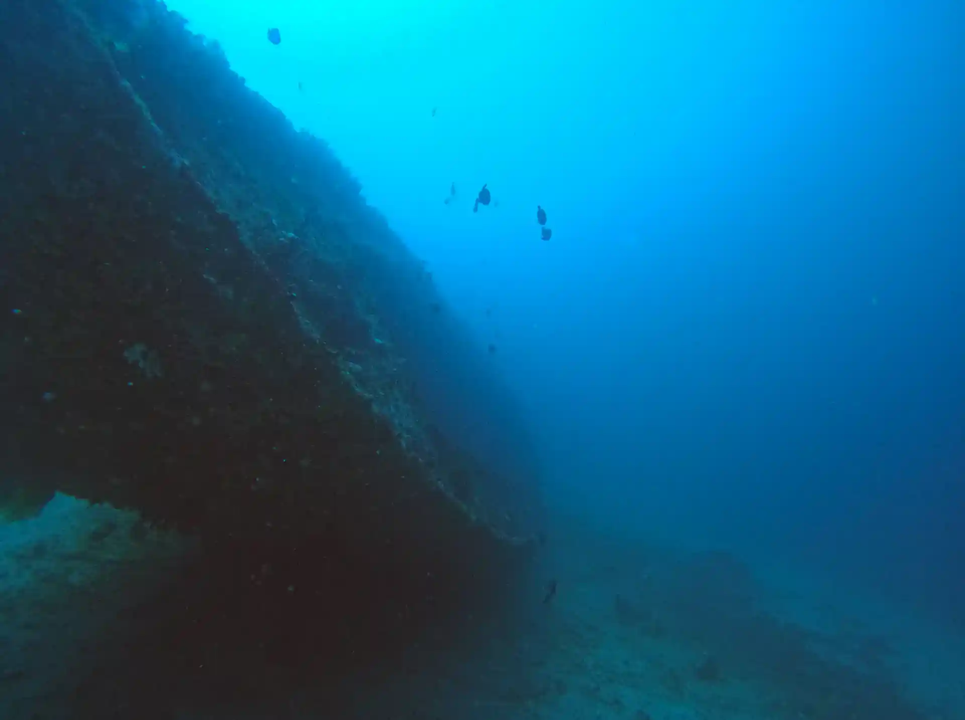 Dive site photo