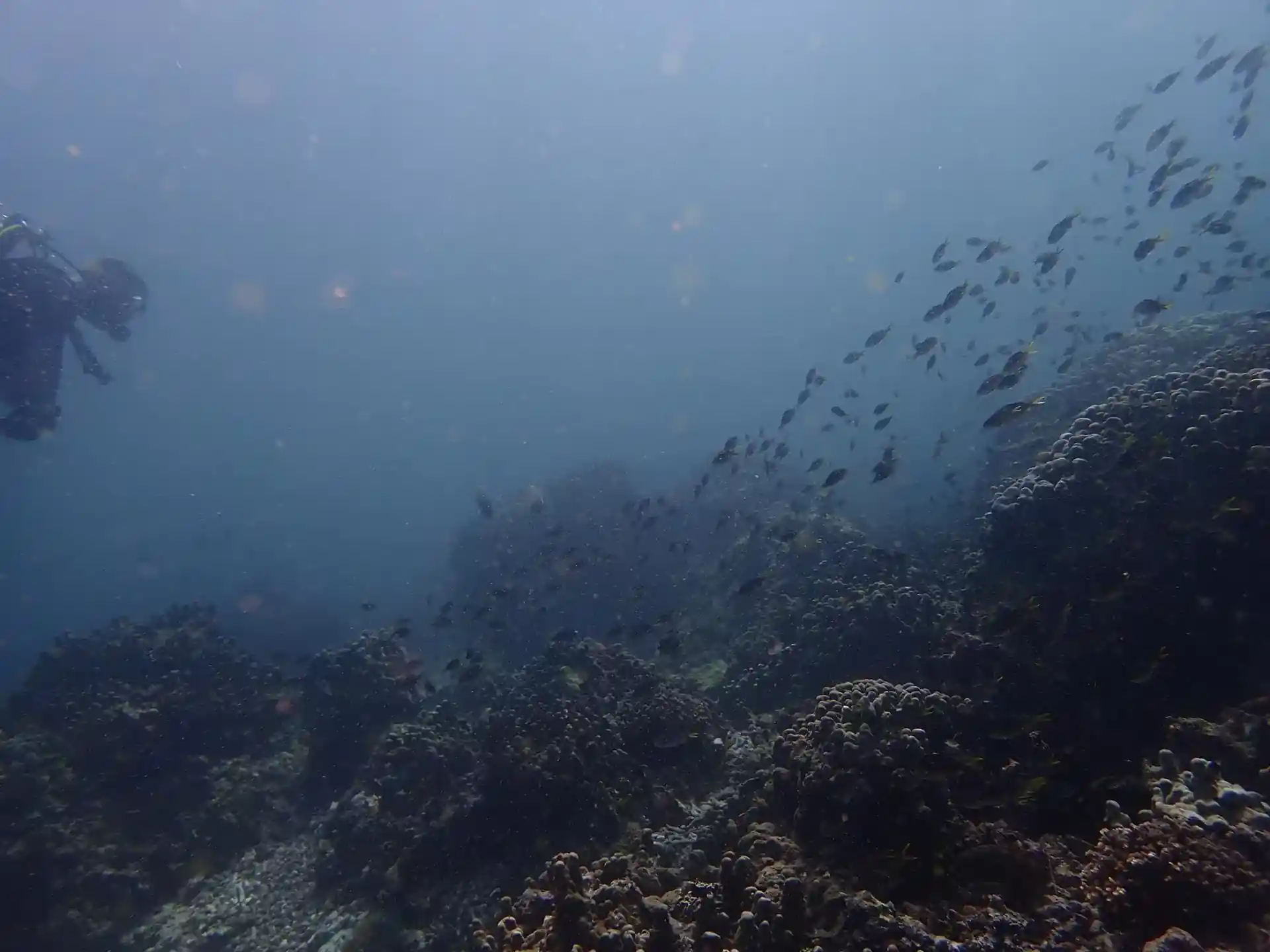 다이빙 포인트 사진