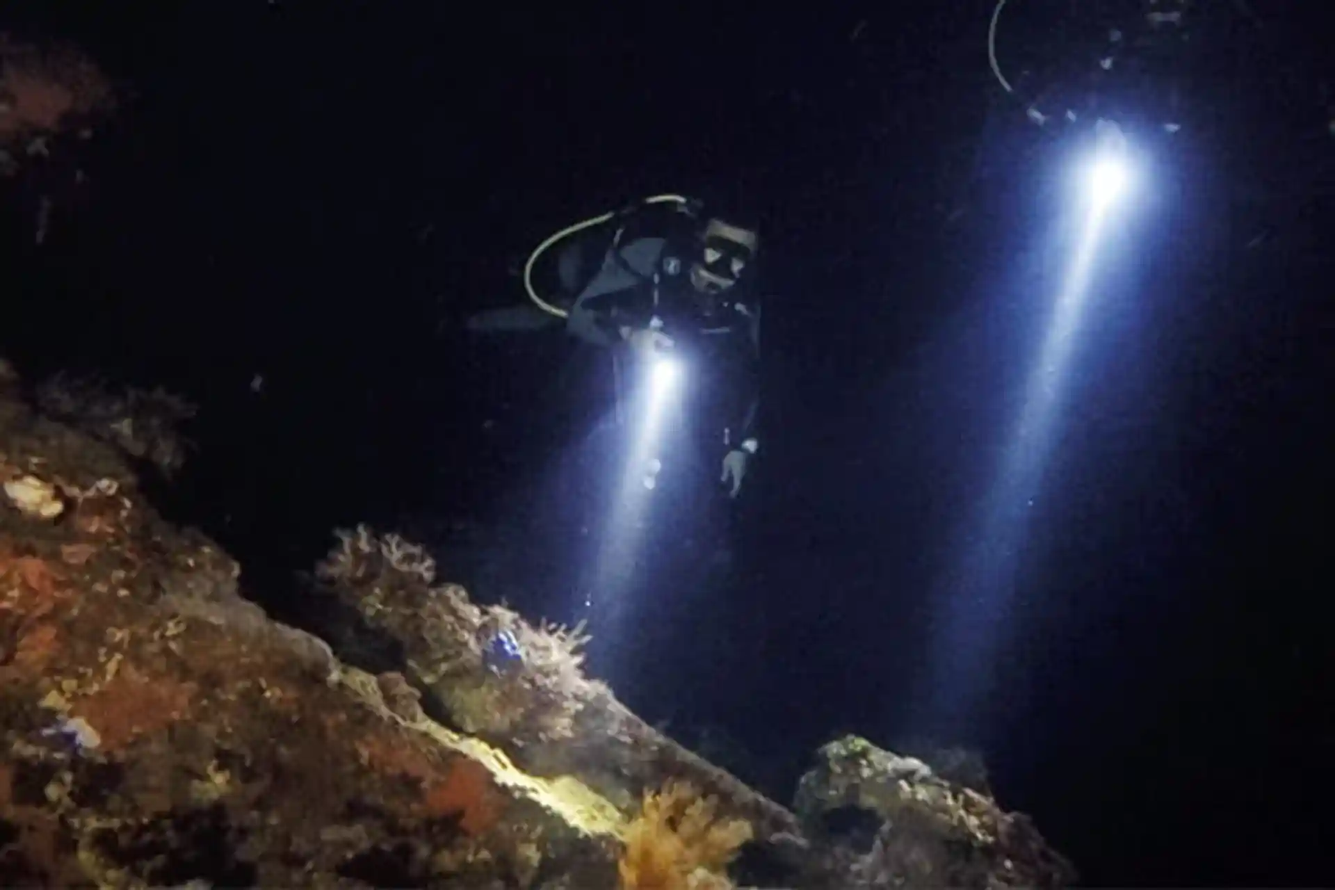 Dive shop photo