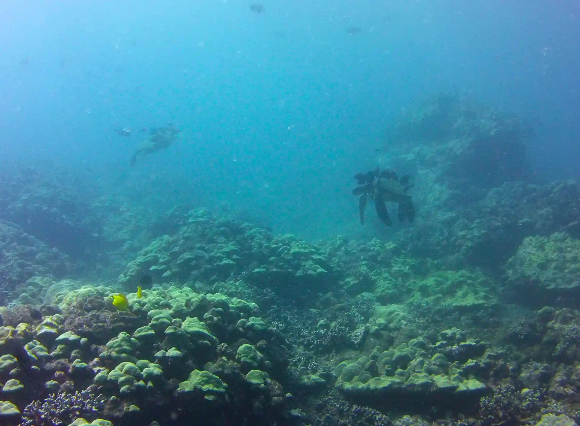 Dive site photo
