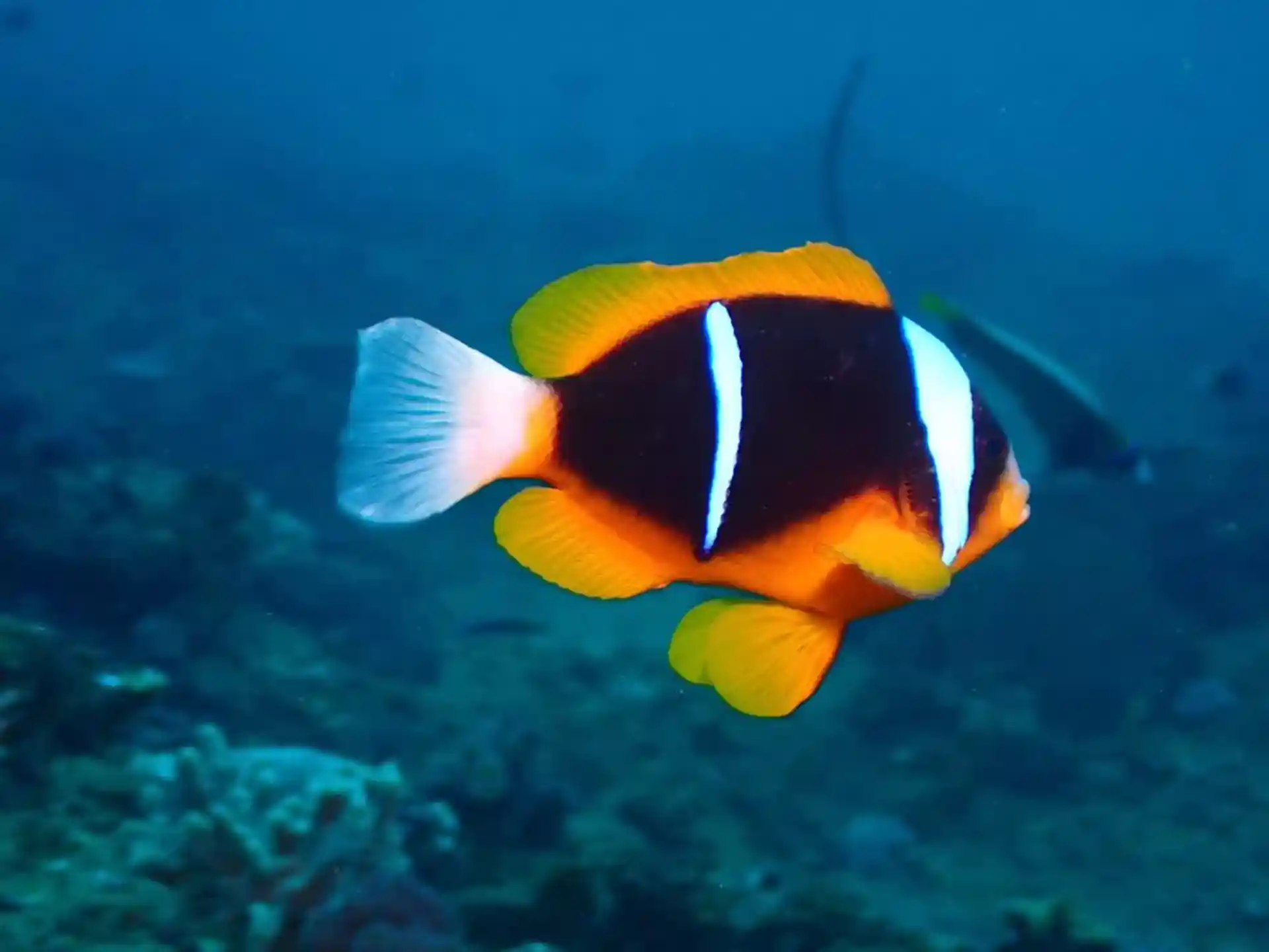 Dive site photo