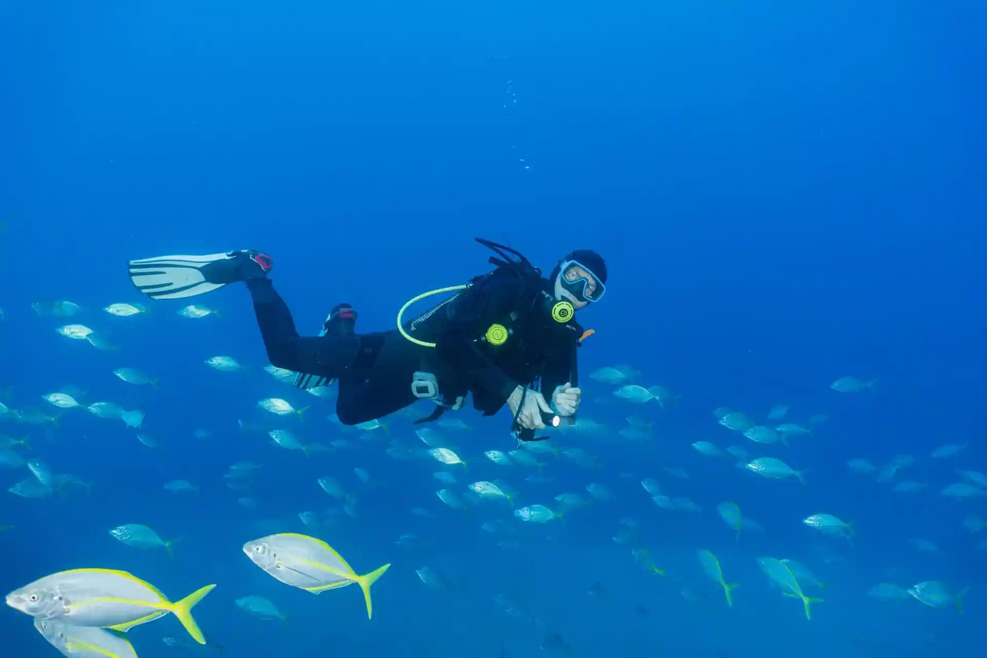 Dive site photo